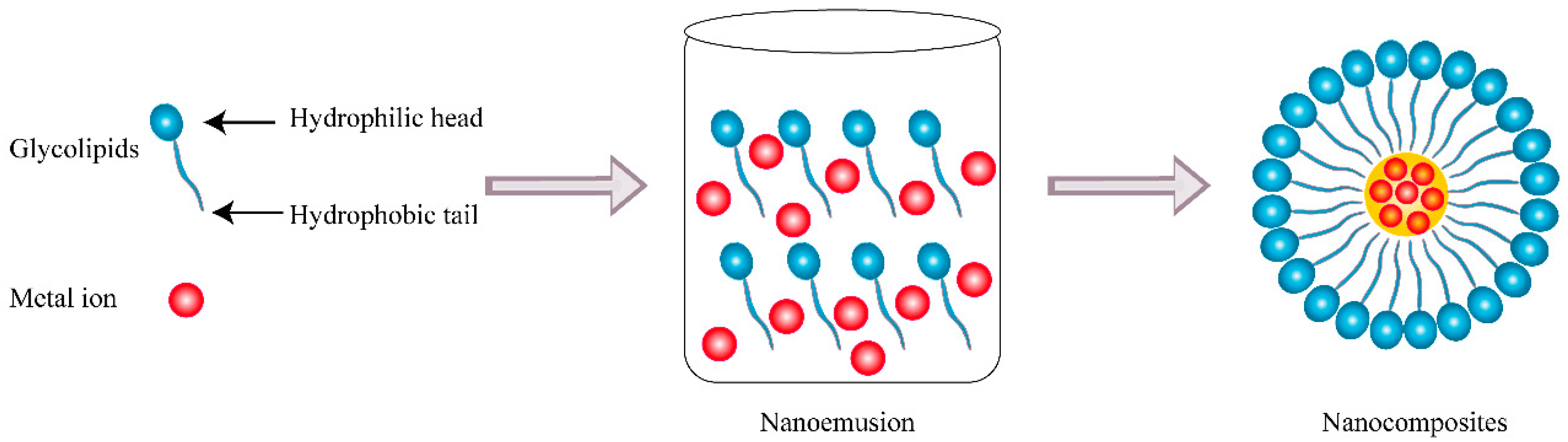 Pharmaceutics 13 00227 g006