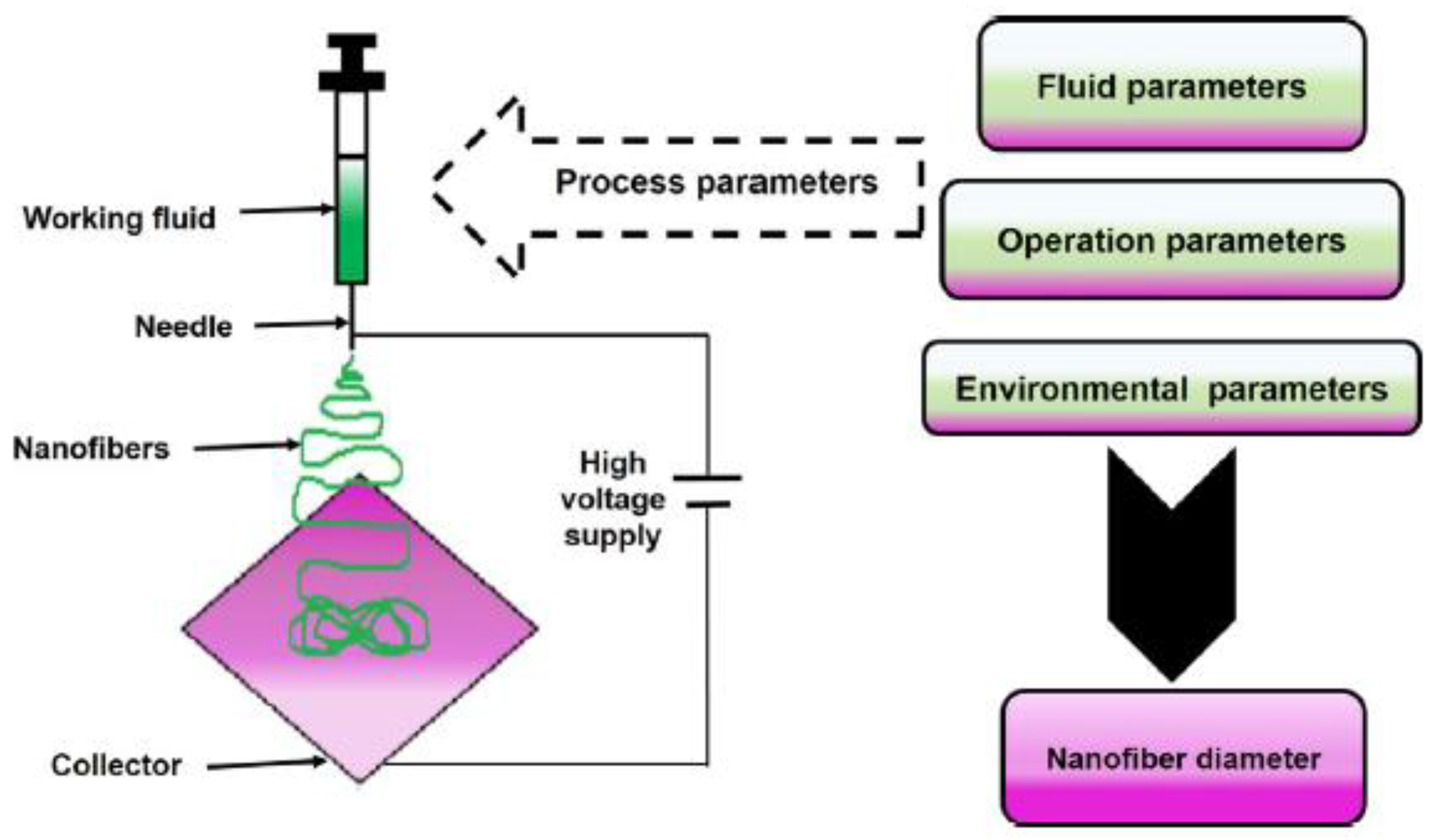 Pharmaceutics 13 00230 g001 Pharmaceutics 13 00230 g001