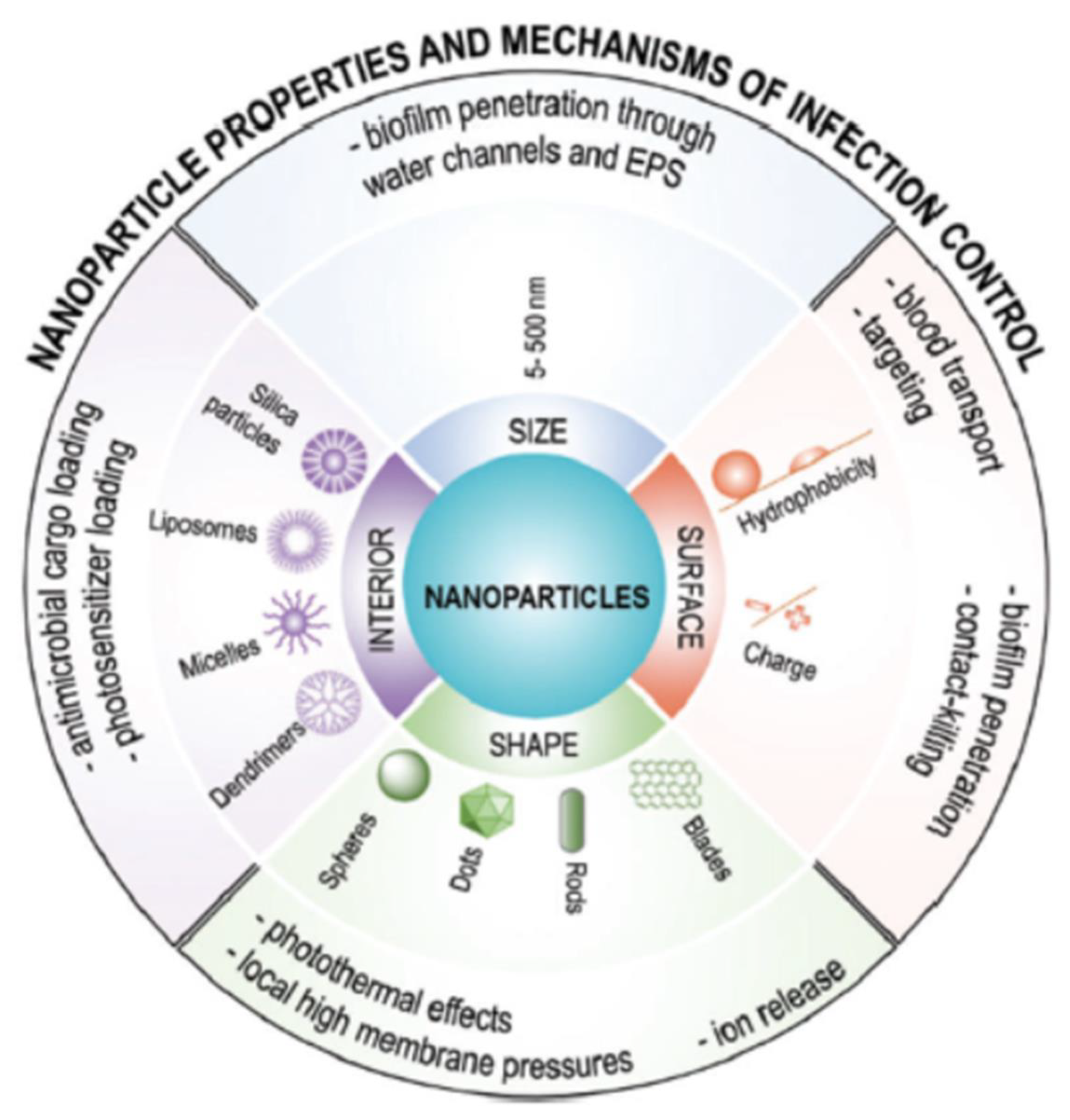 Pharmaceutics 13 00230 g003 Pharmaceutics 13 00230 g003