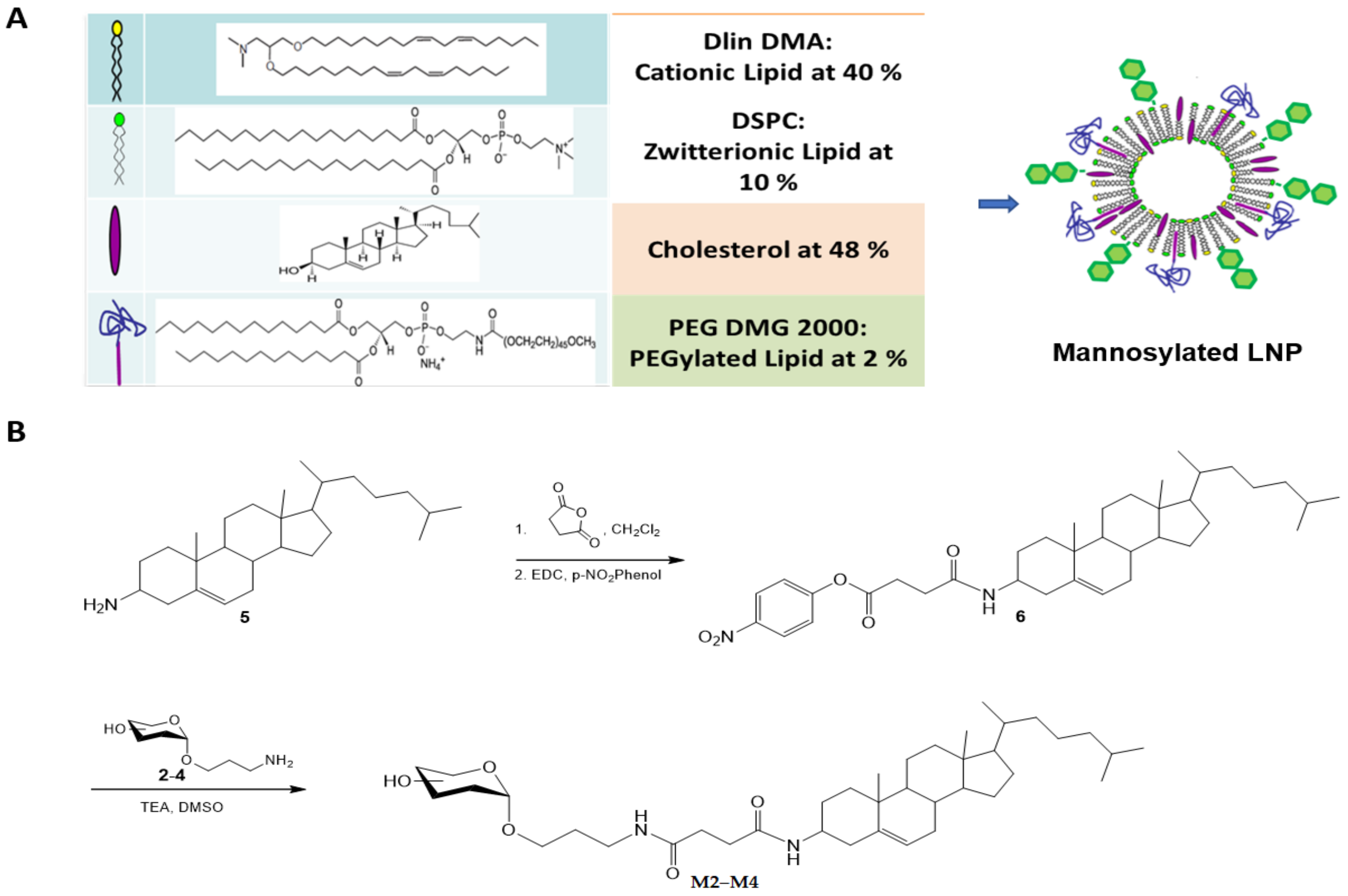 Pharmaceutics 13 00240 sch001