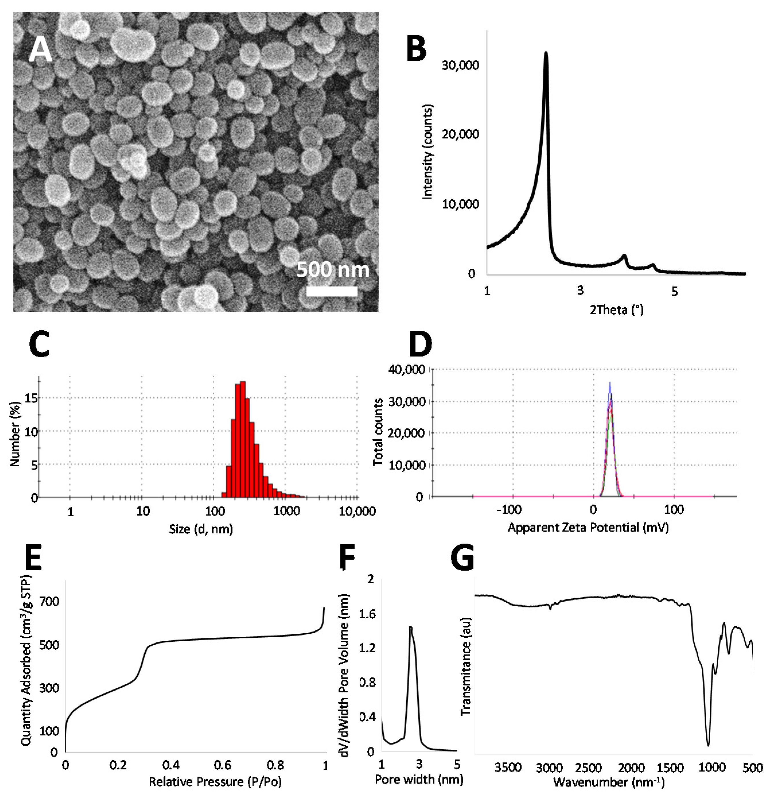 Pharmaceutics 13 00244 g002 Pharmaceutics 13 00244 g002