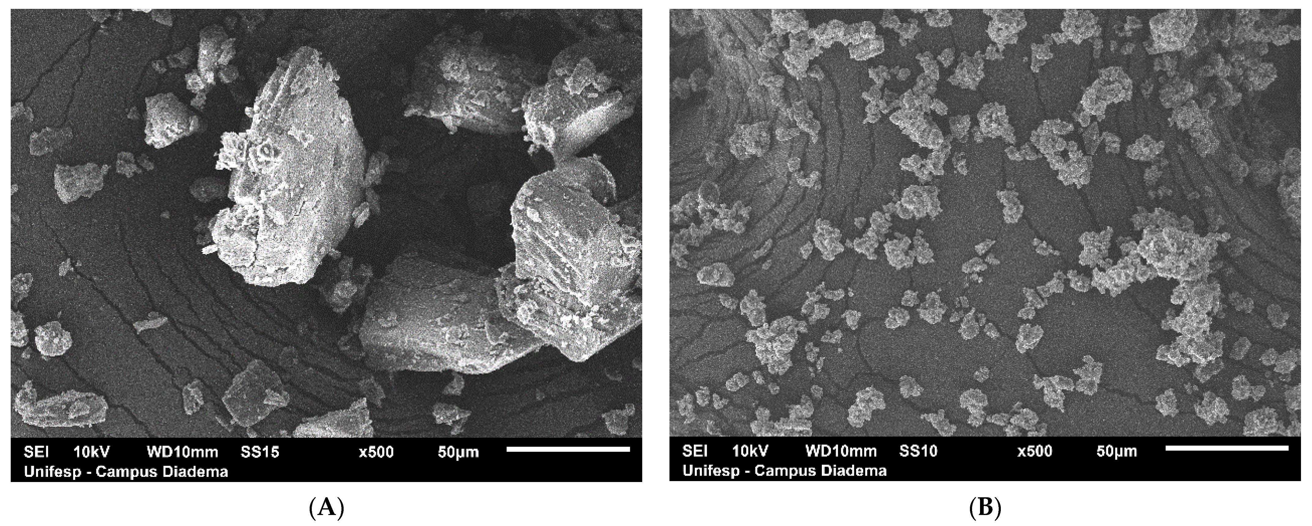 Pharmaceutics 13 00245 g003