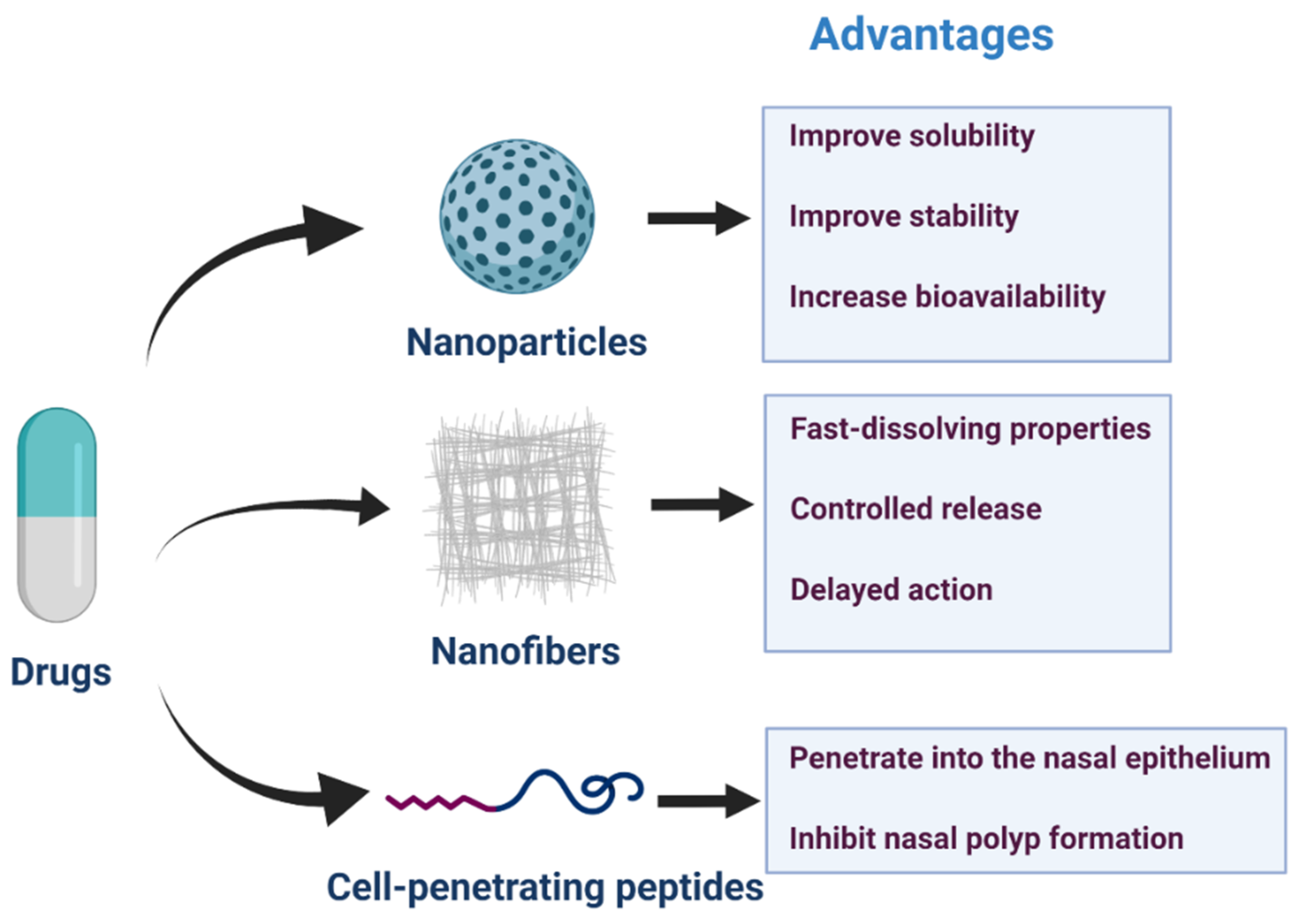 Pharmaceutics 13 00246 g003