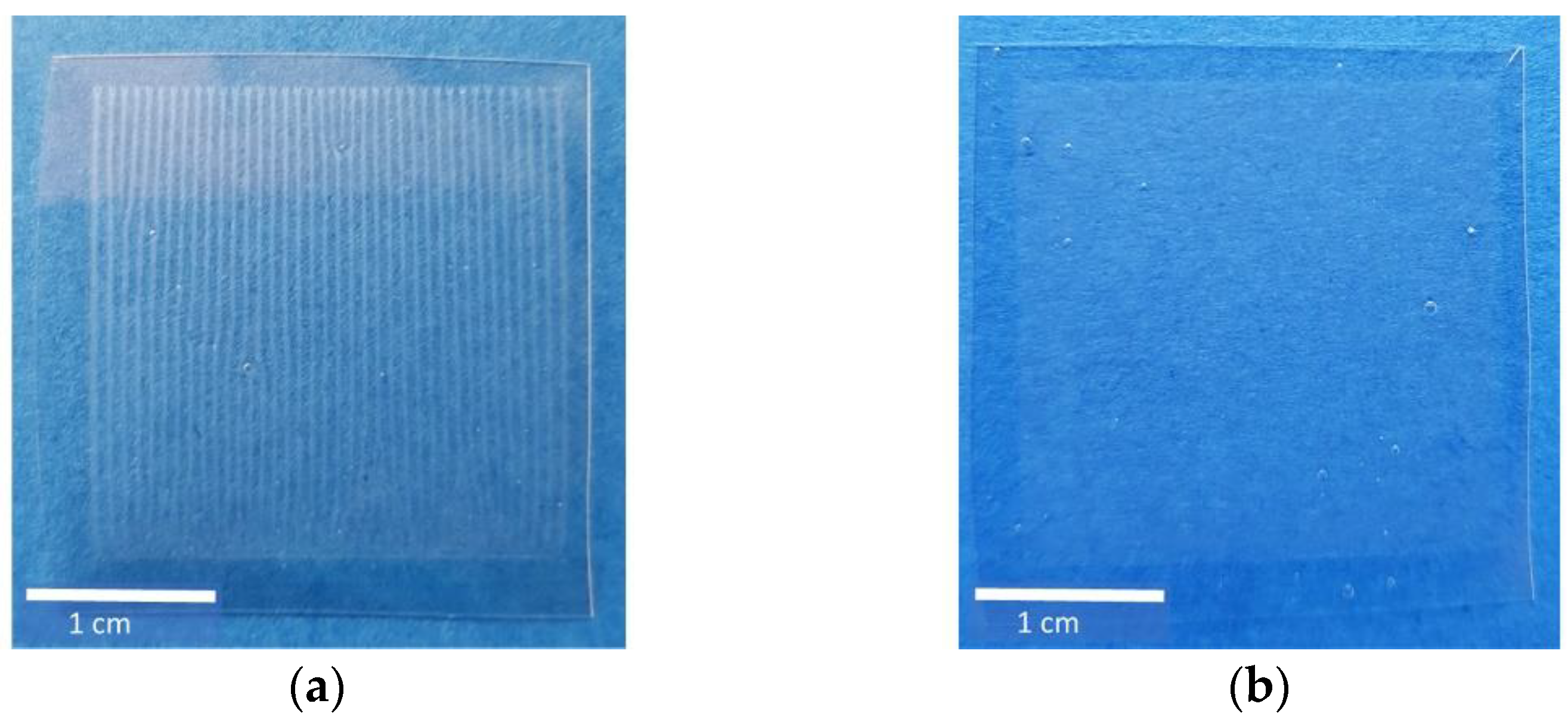 Pharmaceutics 13 00247 g002