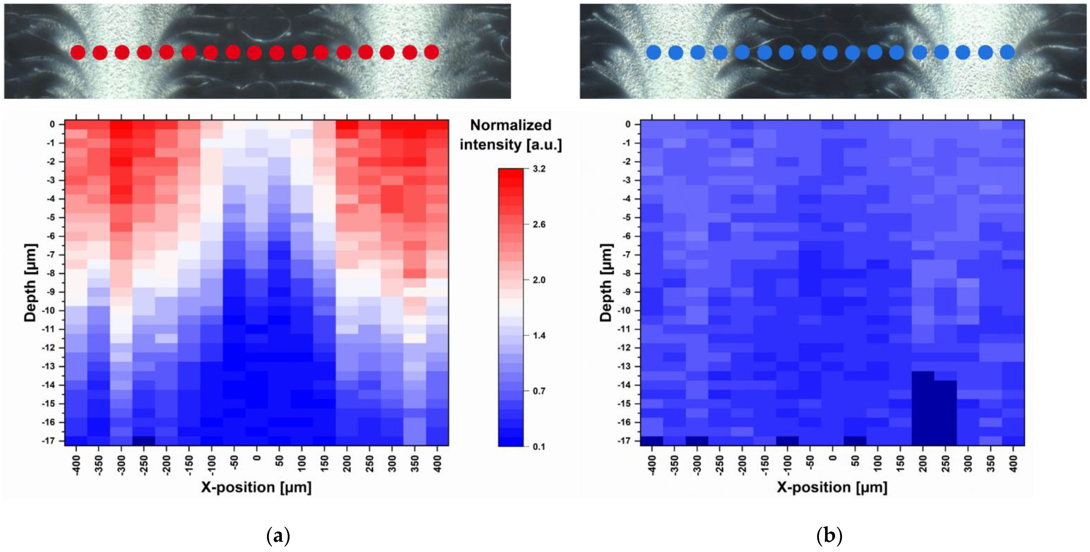 Pharmaceutics 13 00247 g004