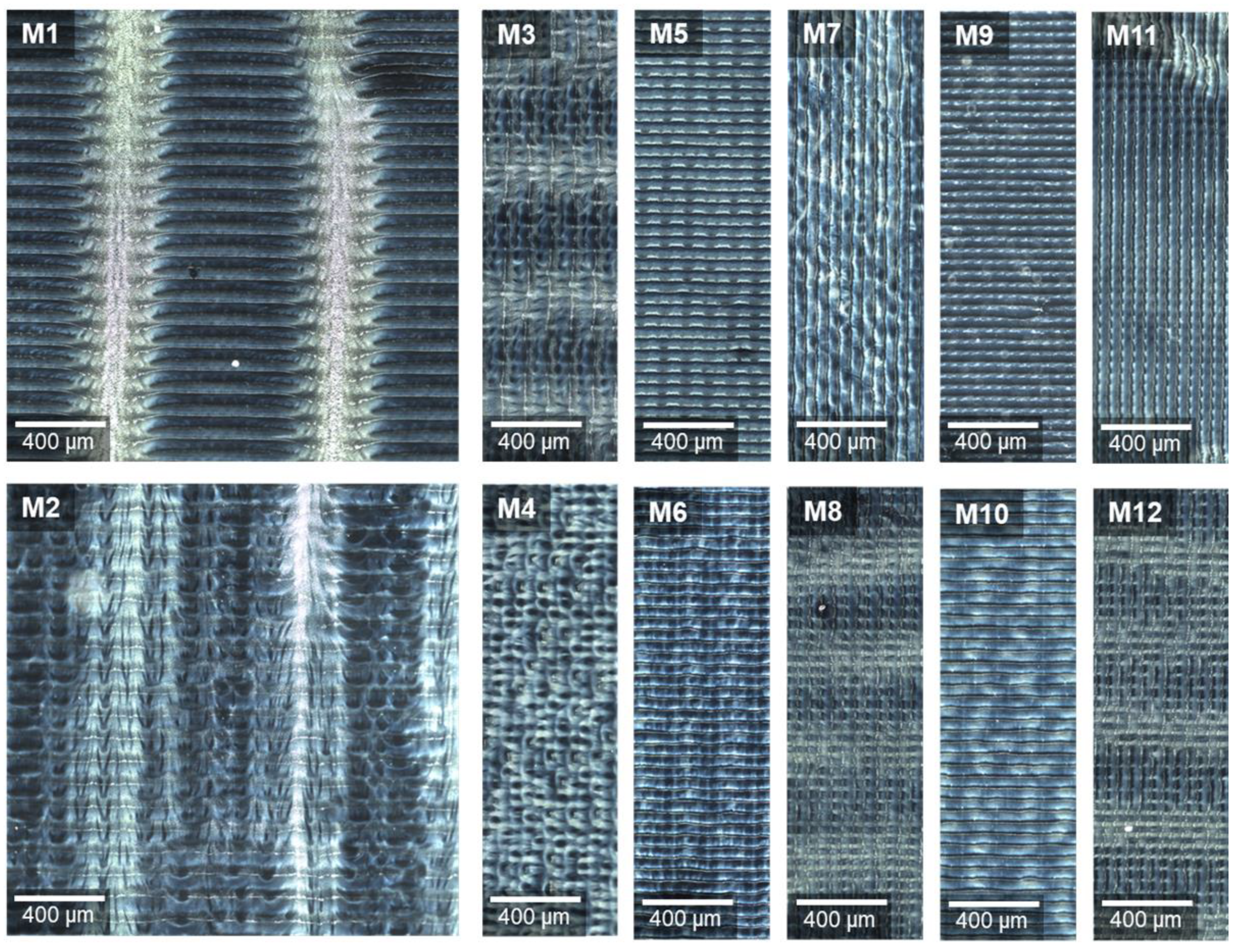 Pharmaceutics 13 00247 g006