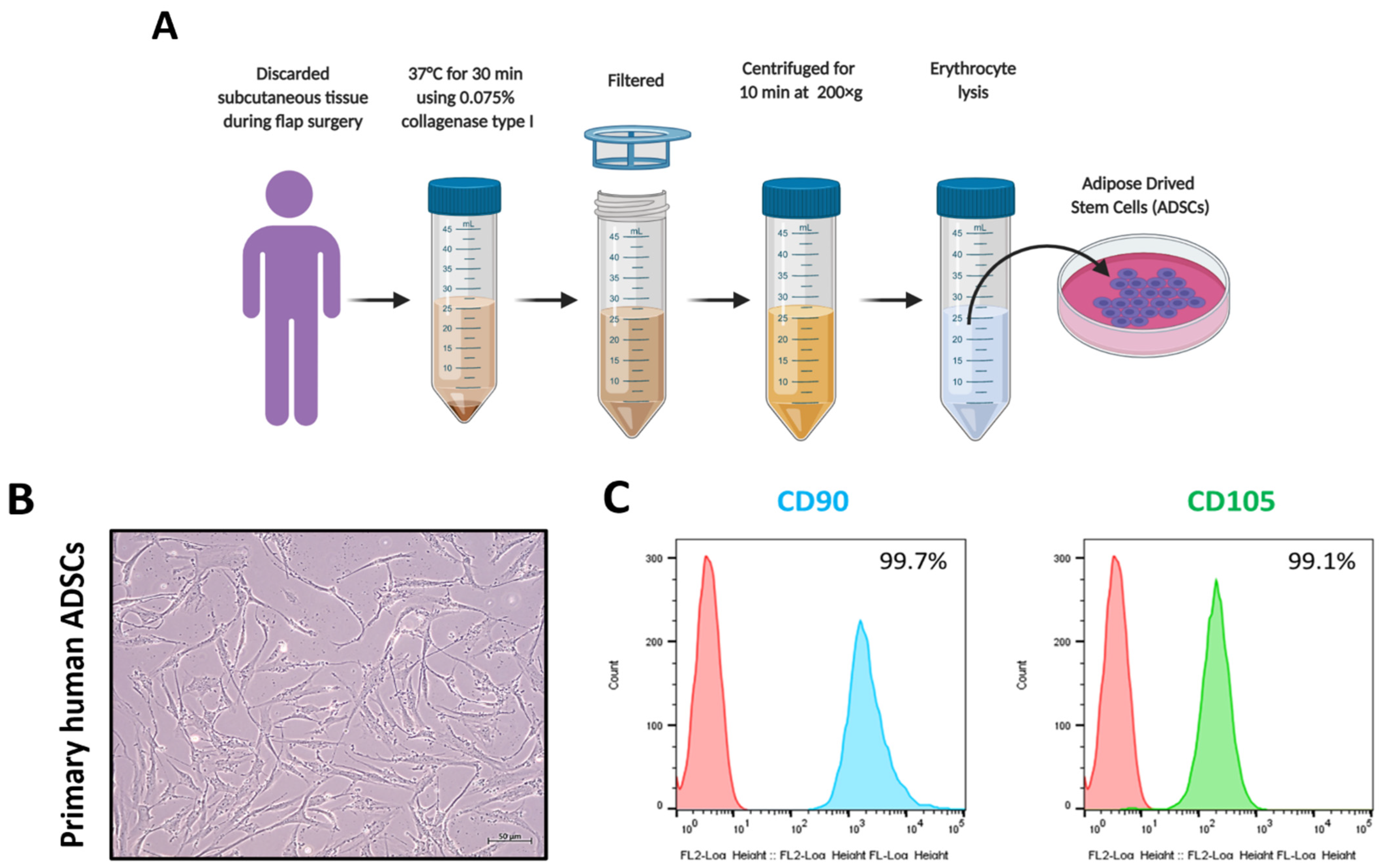 Pharmaceutics 13 00248 g001 Pharmaceutics 13 00248 g001