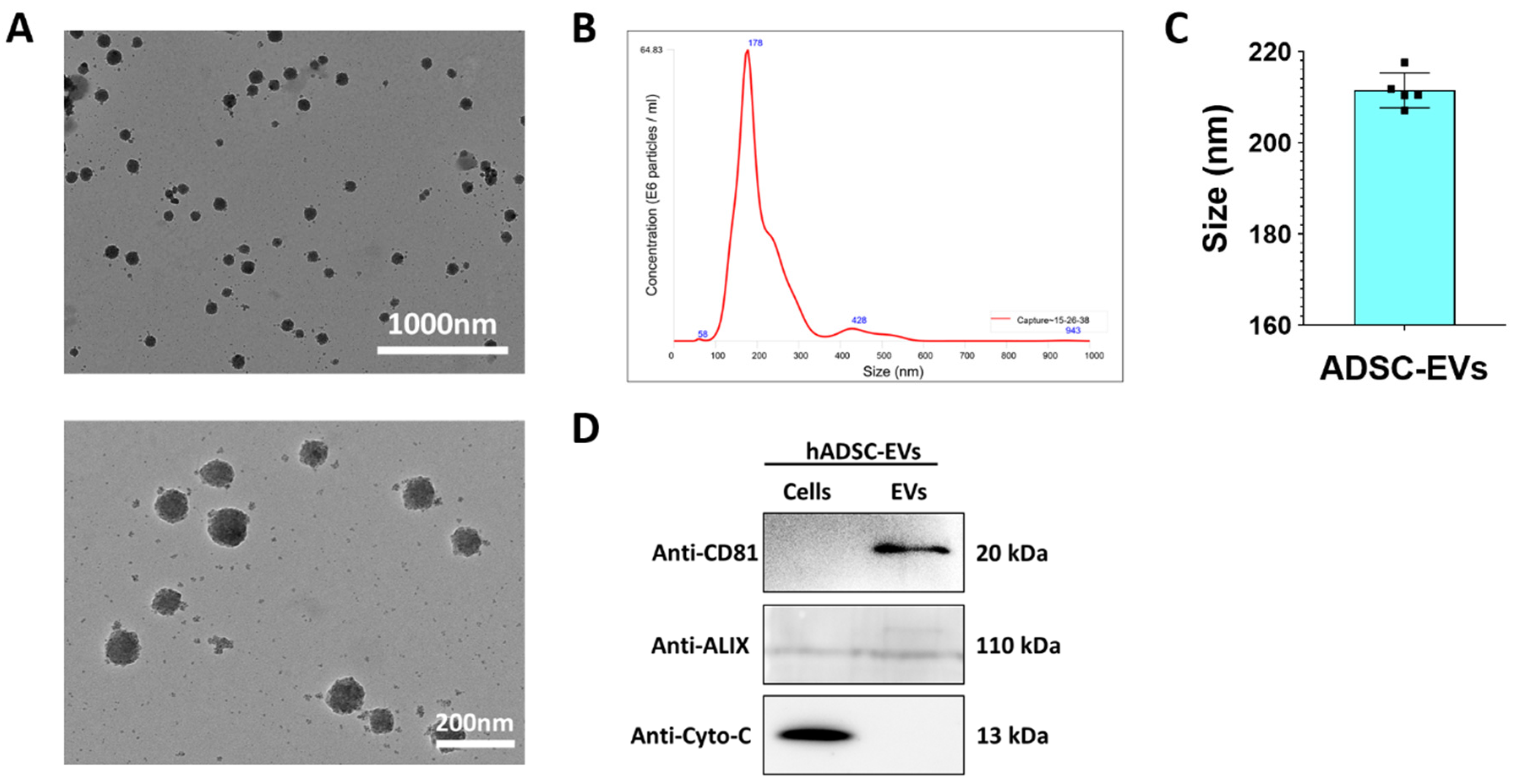 Pharmaceutics 13 00248 g002 Pharmaceutics 13 00248 g002
