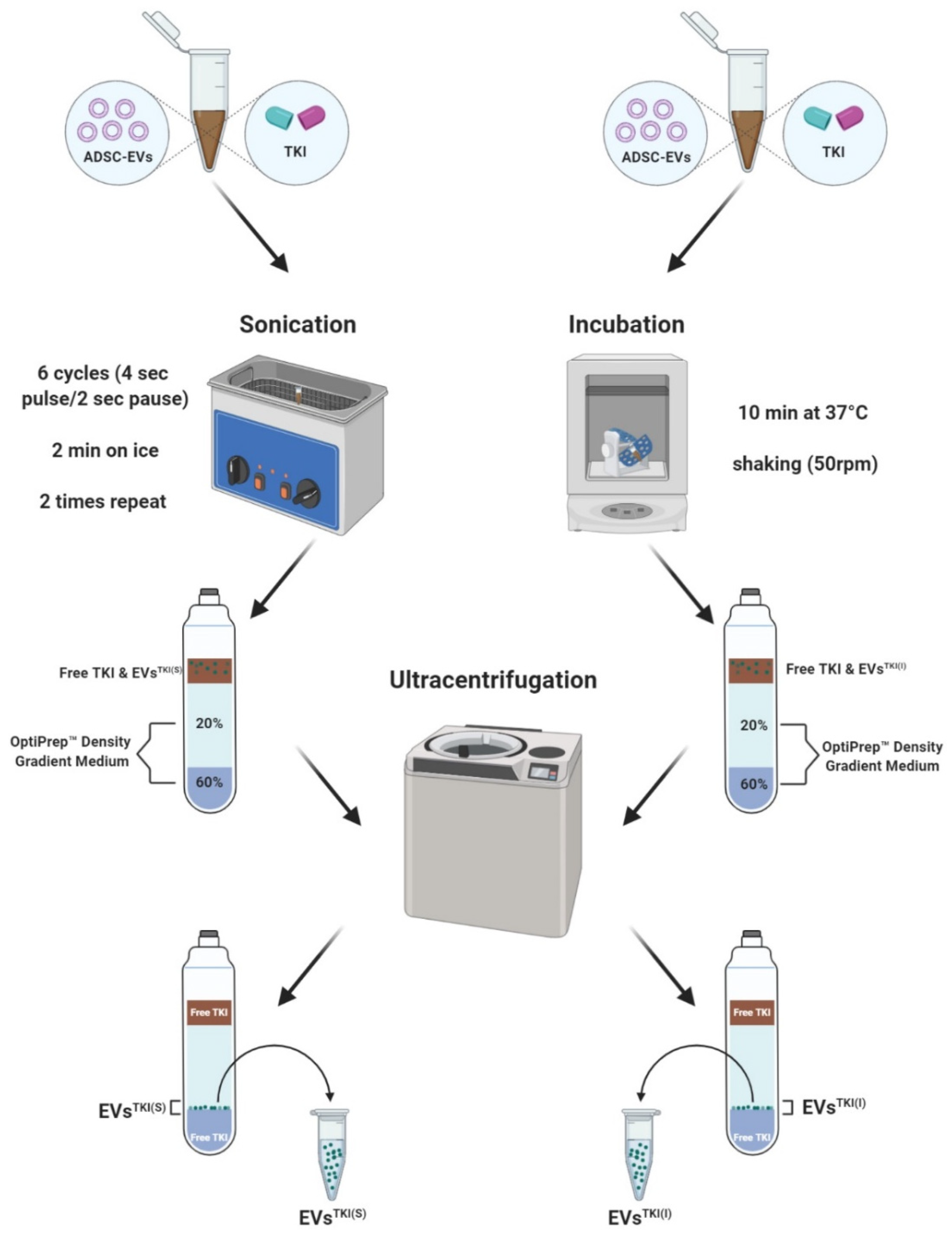 Pharmaceutics 13 00248 g003 Pharmaceutics 13 00248 g003