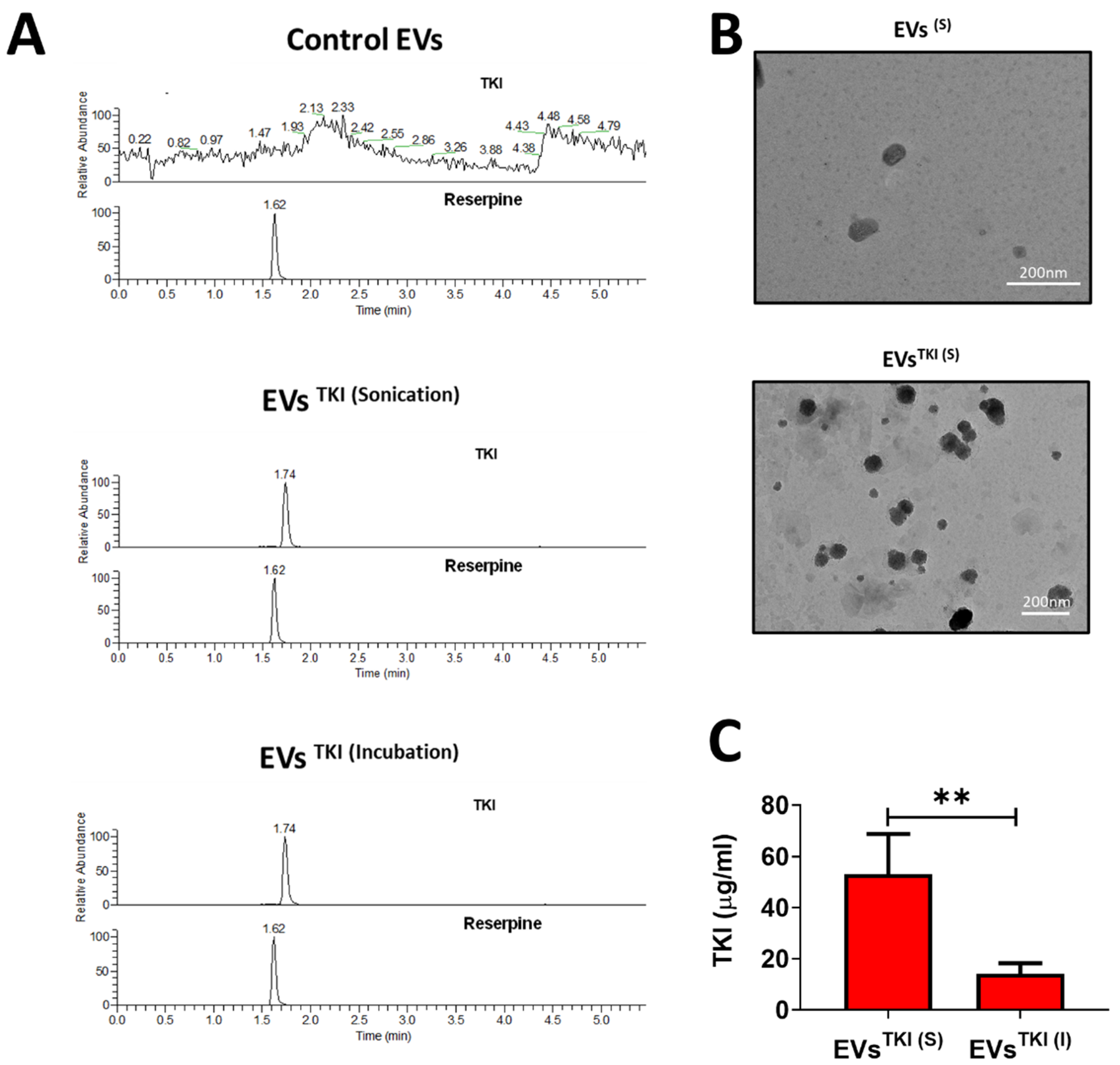 Pharmaceutics 13 00248 g004 Pharmaceutics 13 00248 g004