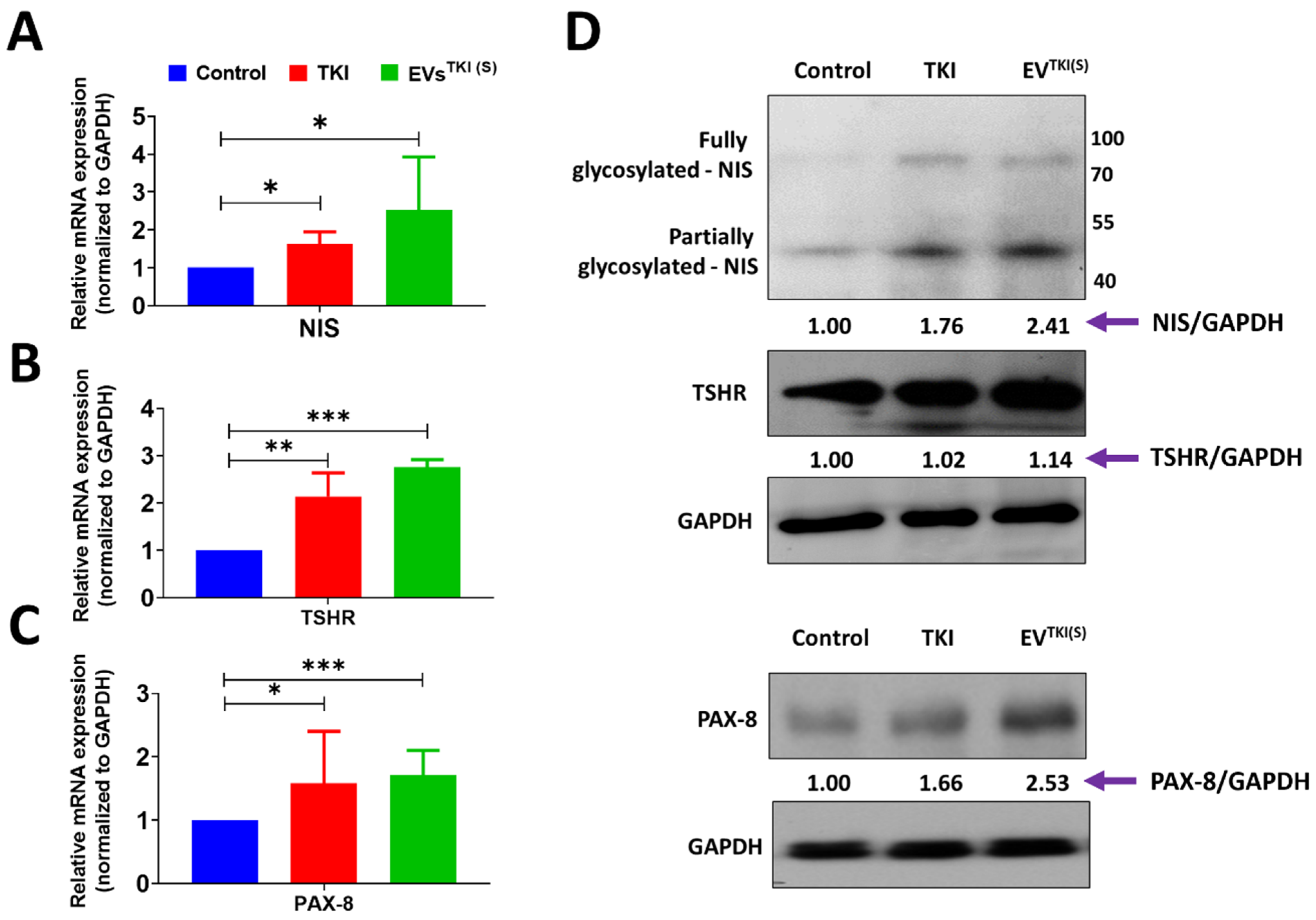 Pharmaceutics 13 00248 g006 Pharmaceutics 13 00248 g006