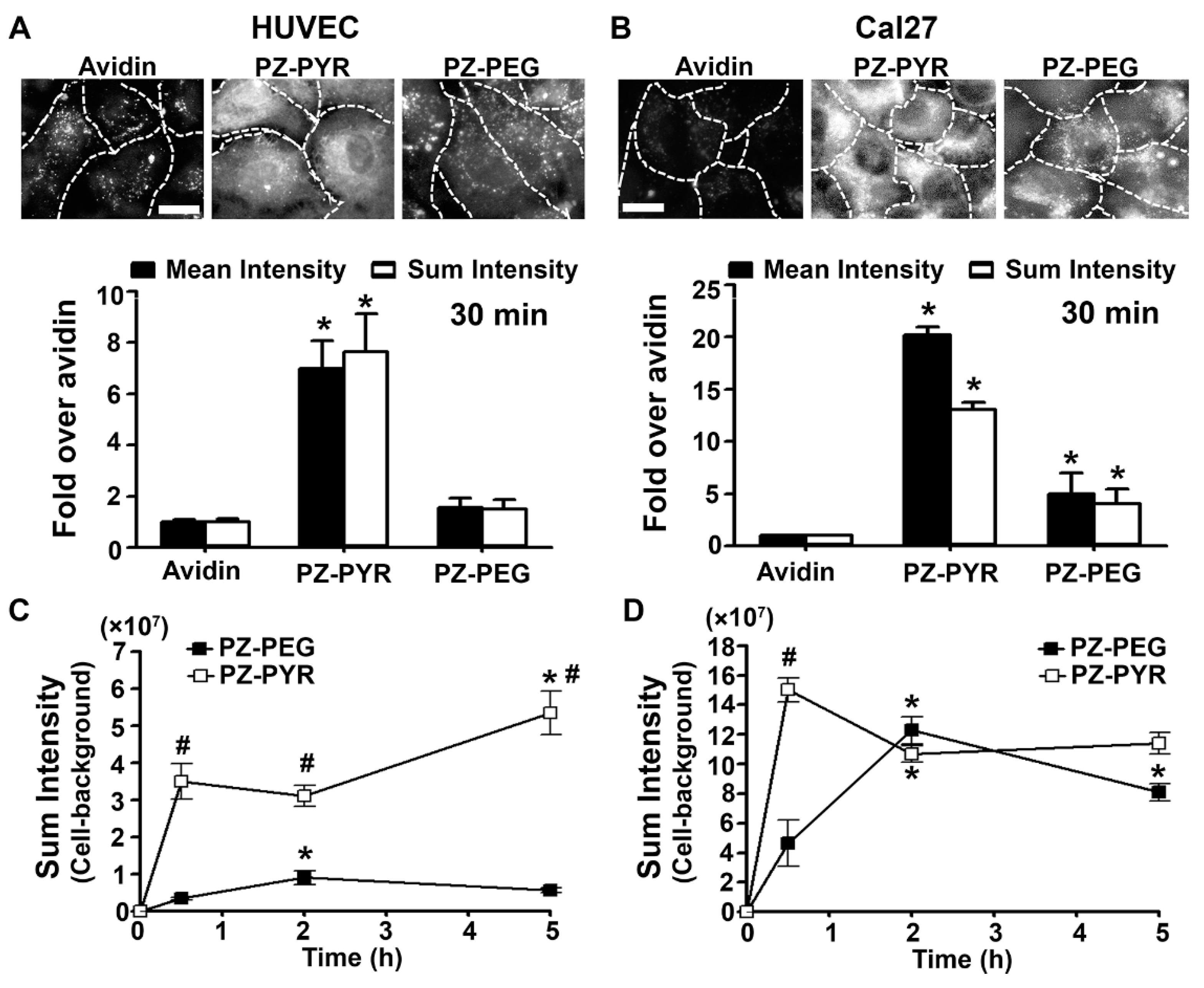 Pharmaceutics 13 00249 g002