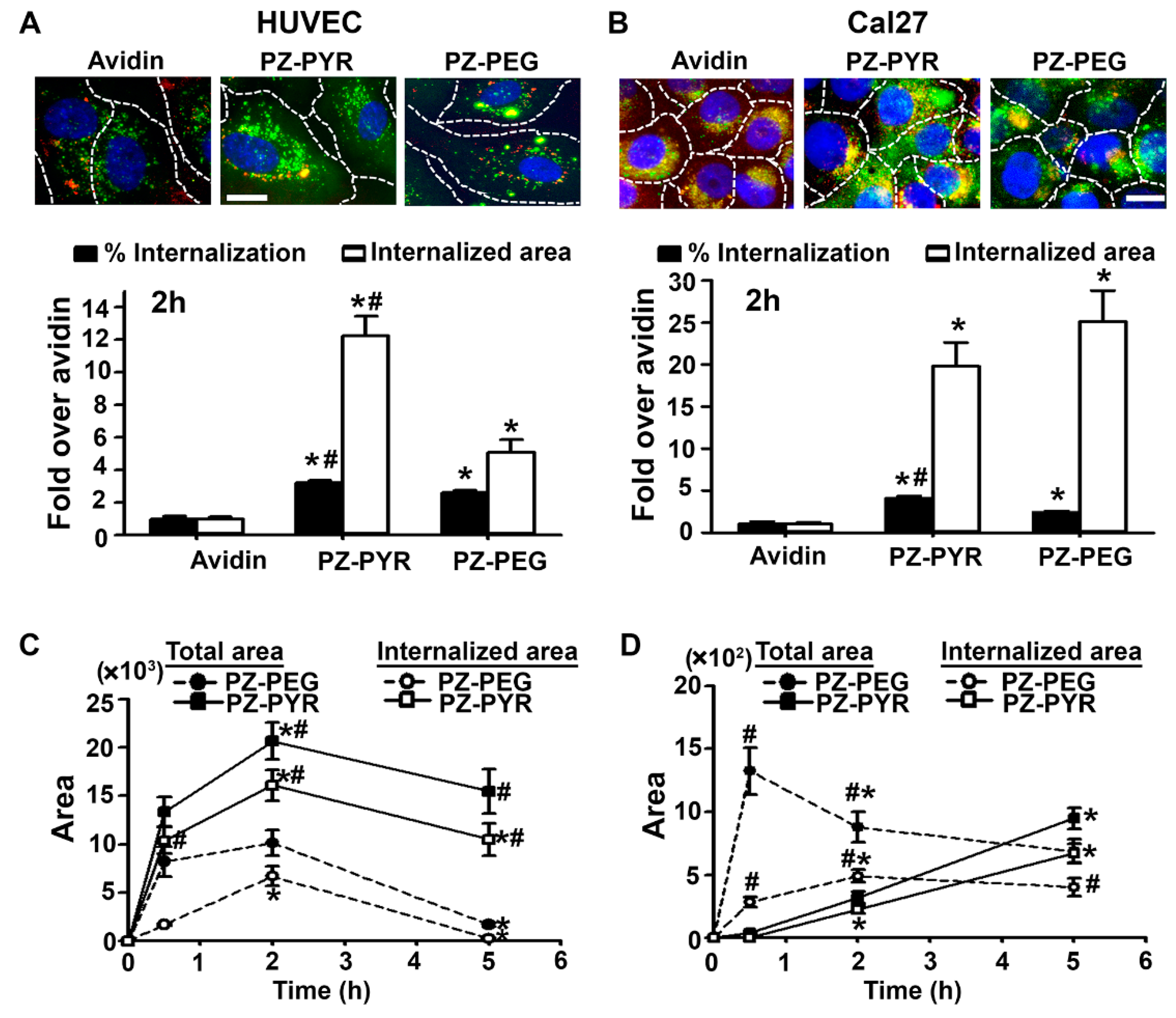 Pharmaceutics 13 00249 g003
