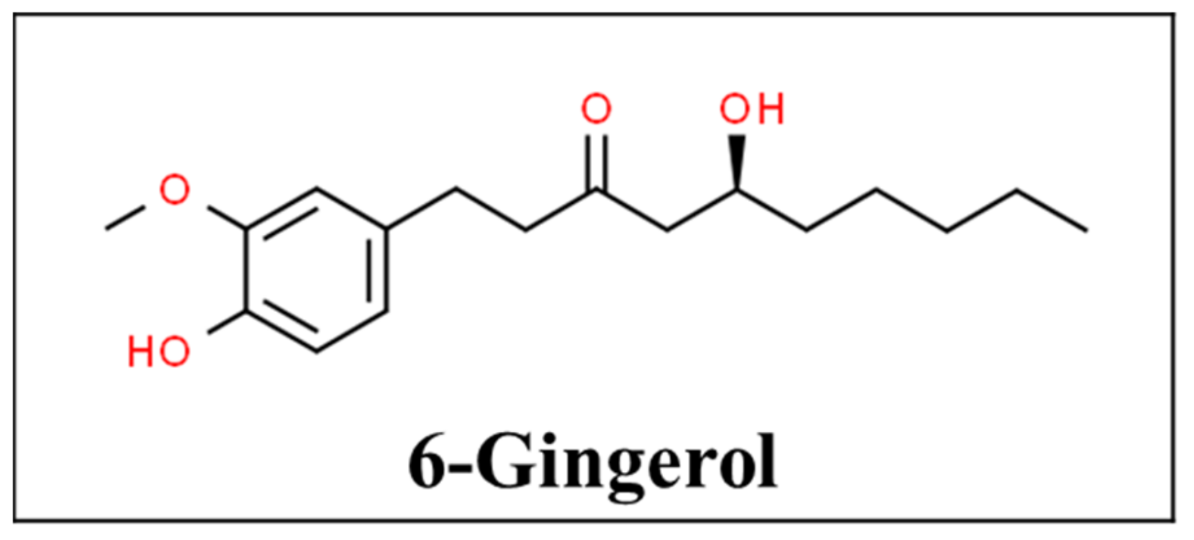 Pharmaceutics 13 00251 g002