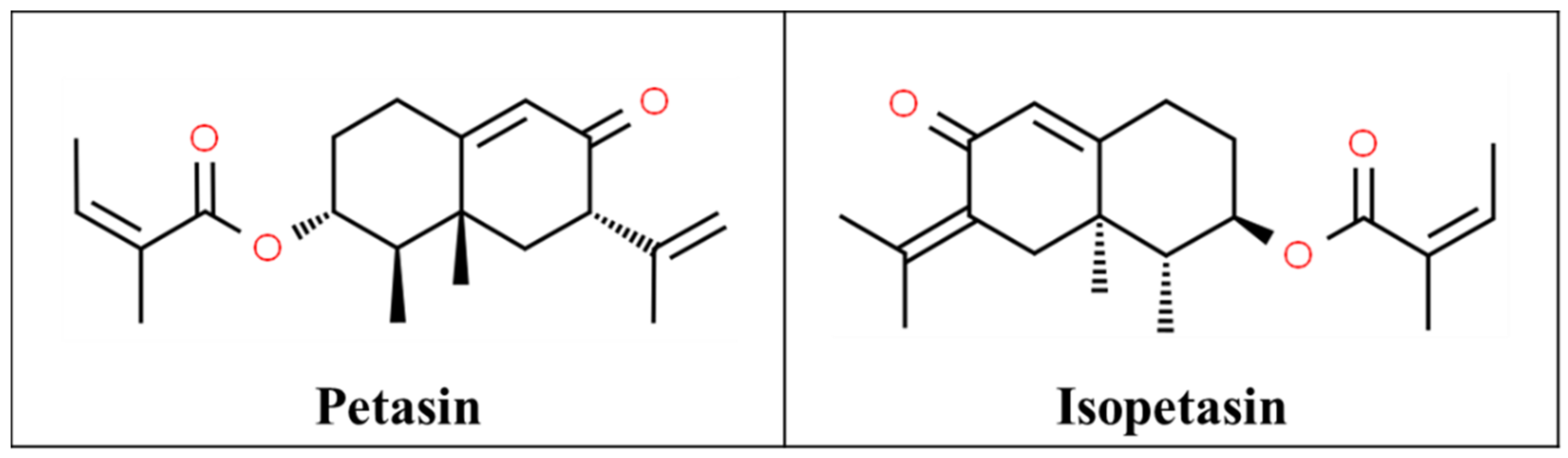 Pharmaceutics 13 00251 g007