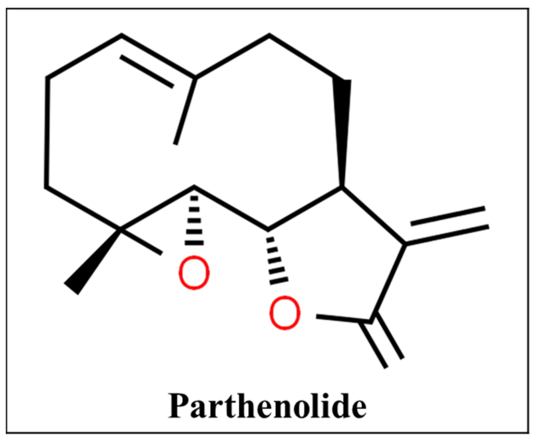 Pharmaceutics 13 00251 g008