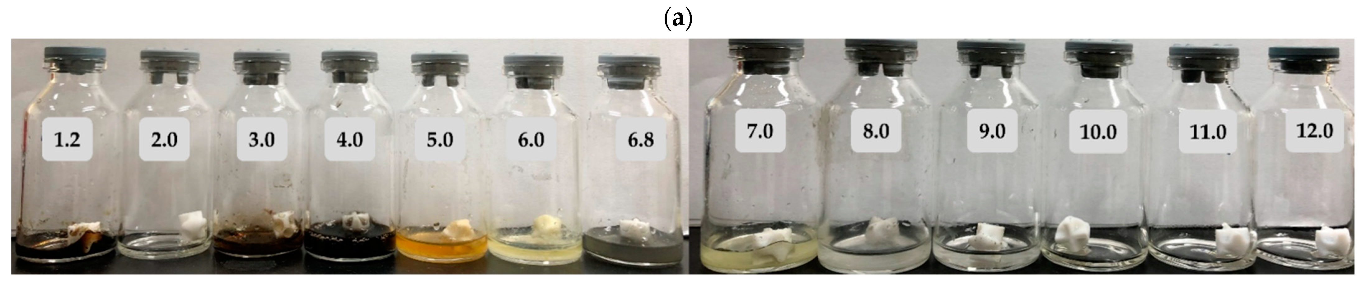 Pharmaceutics 13 00259 g001a Pharmaceutics 13 00259 g001a
