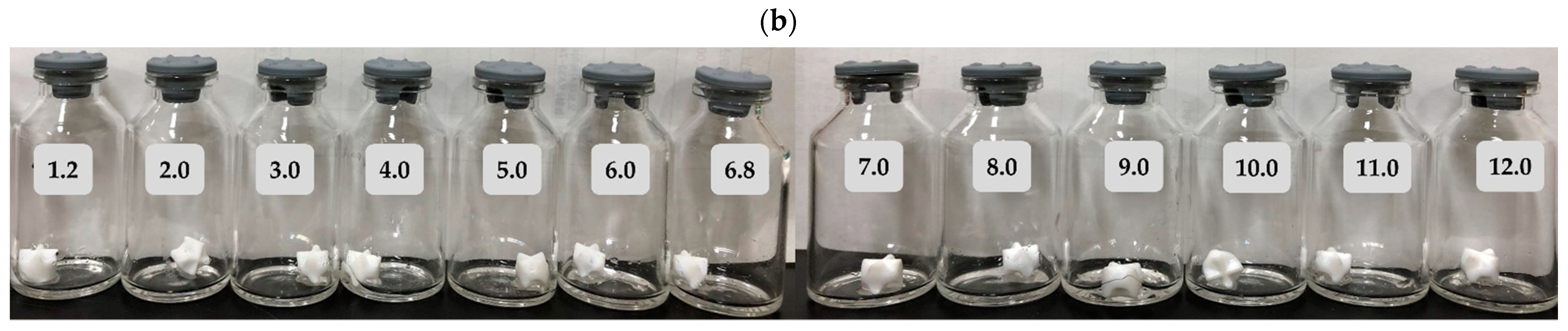 Pharmaceutics 13 00259 g001b Pharmaceutics 13 00259 g001b