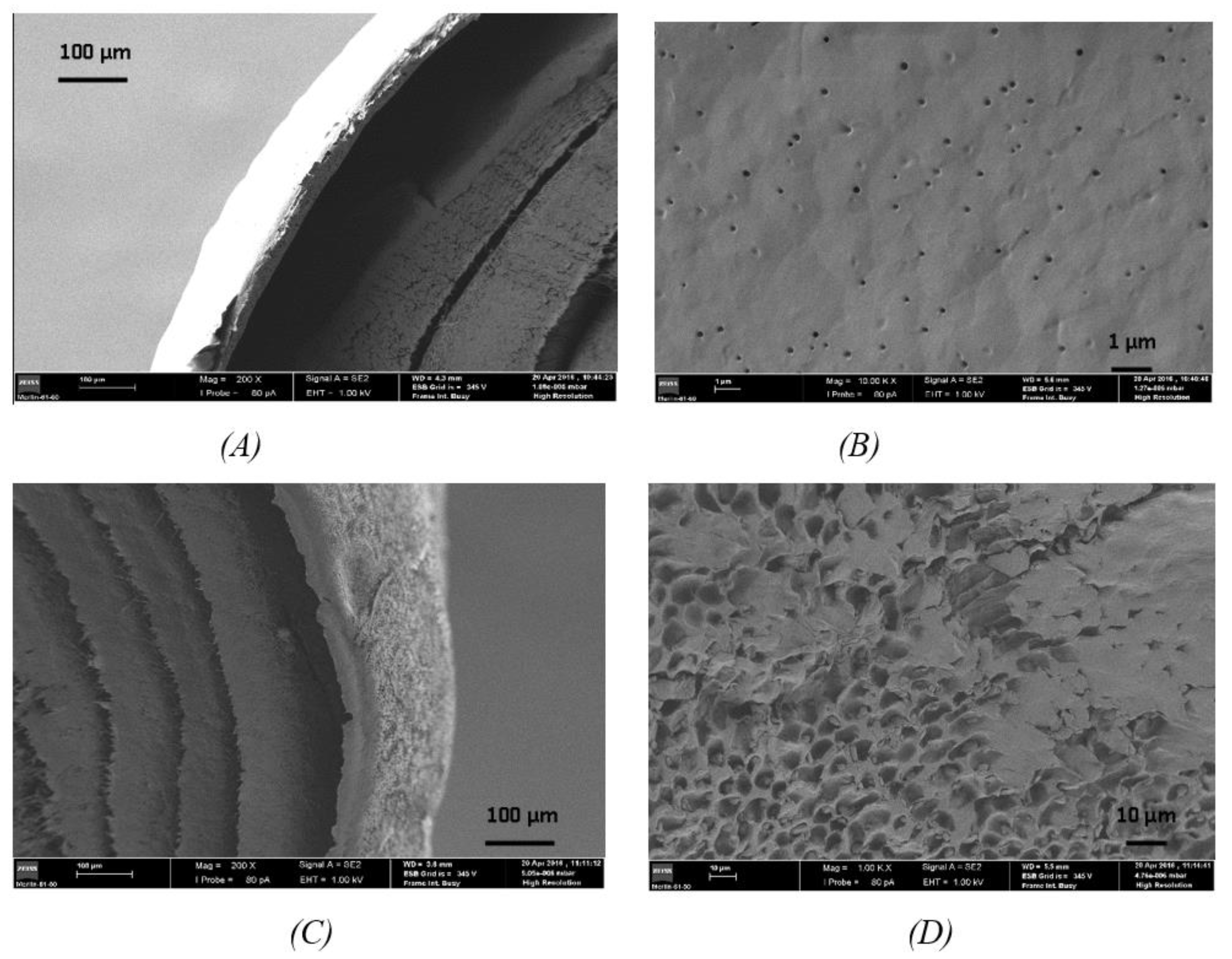 Pharmaceutics 13 00260 g003