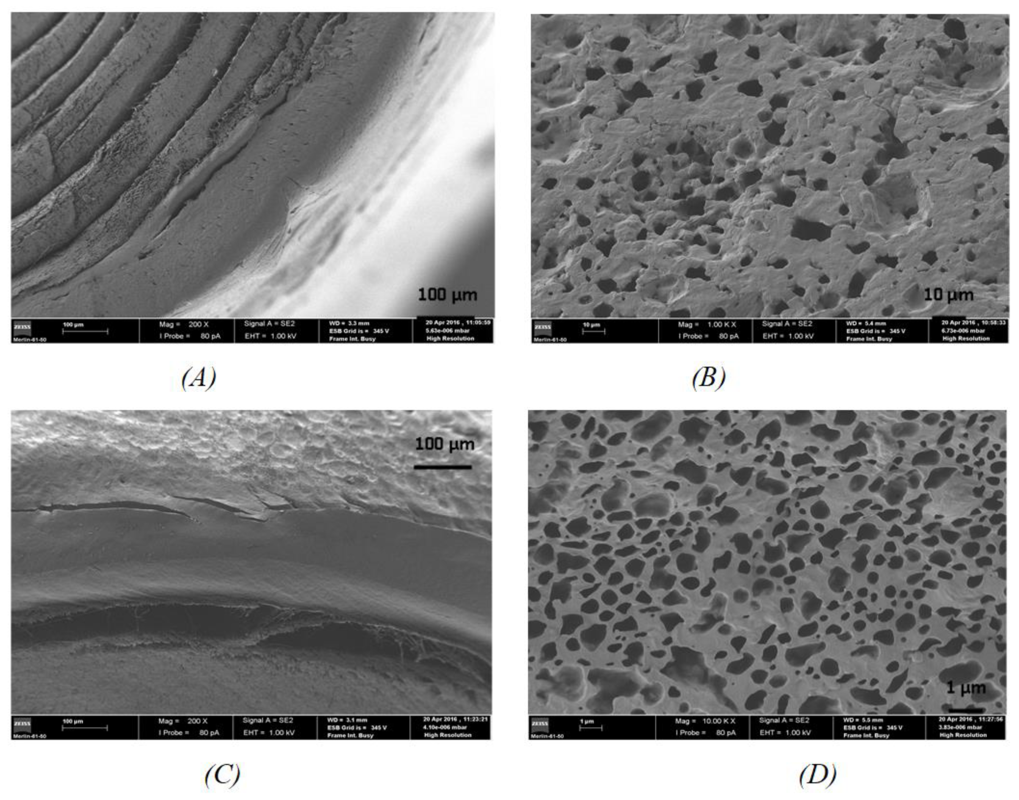 Pharmaceutics 13 00260 g004
