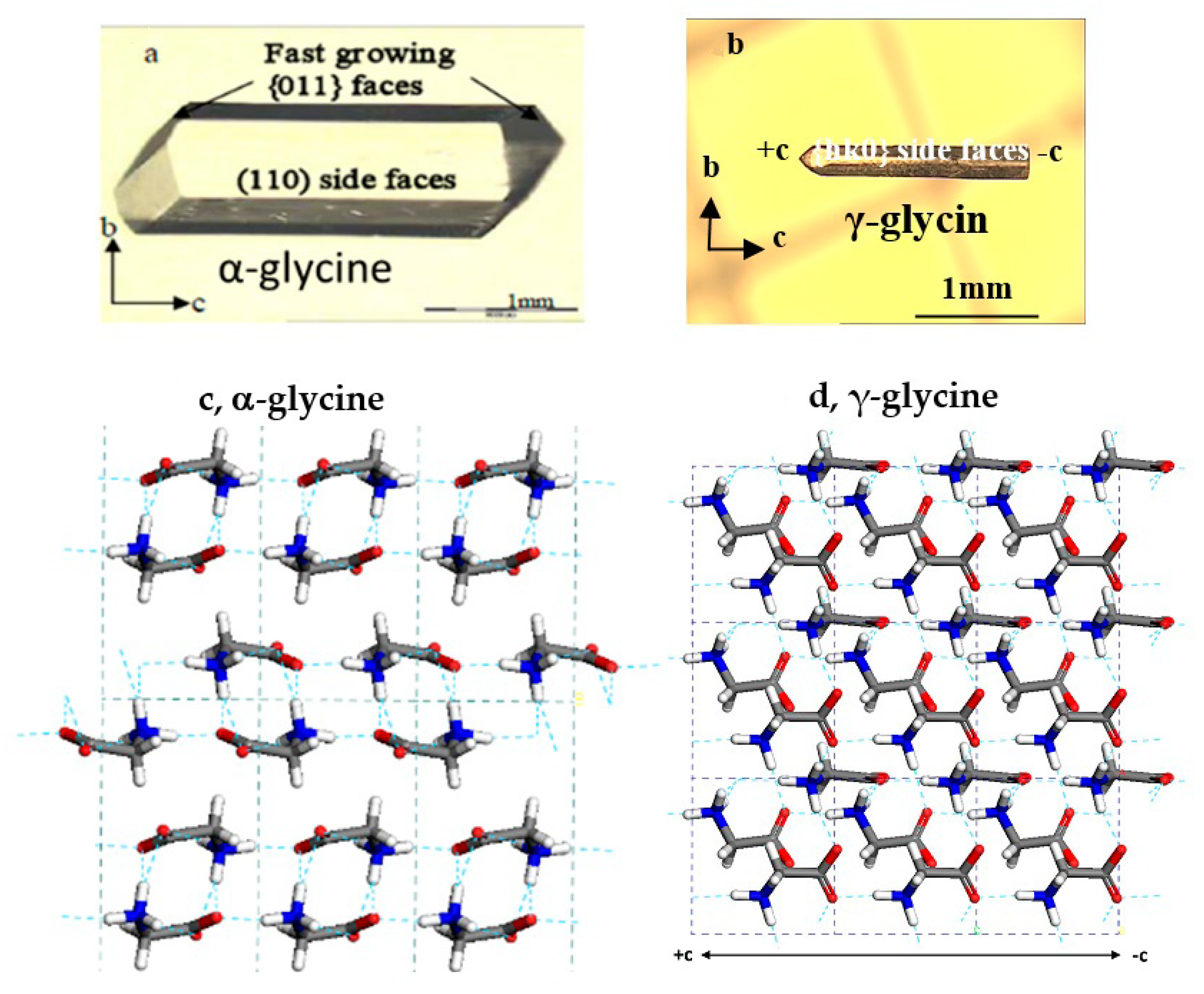 Pharmaceutics 13 00262 g001