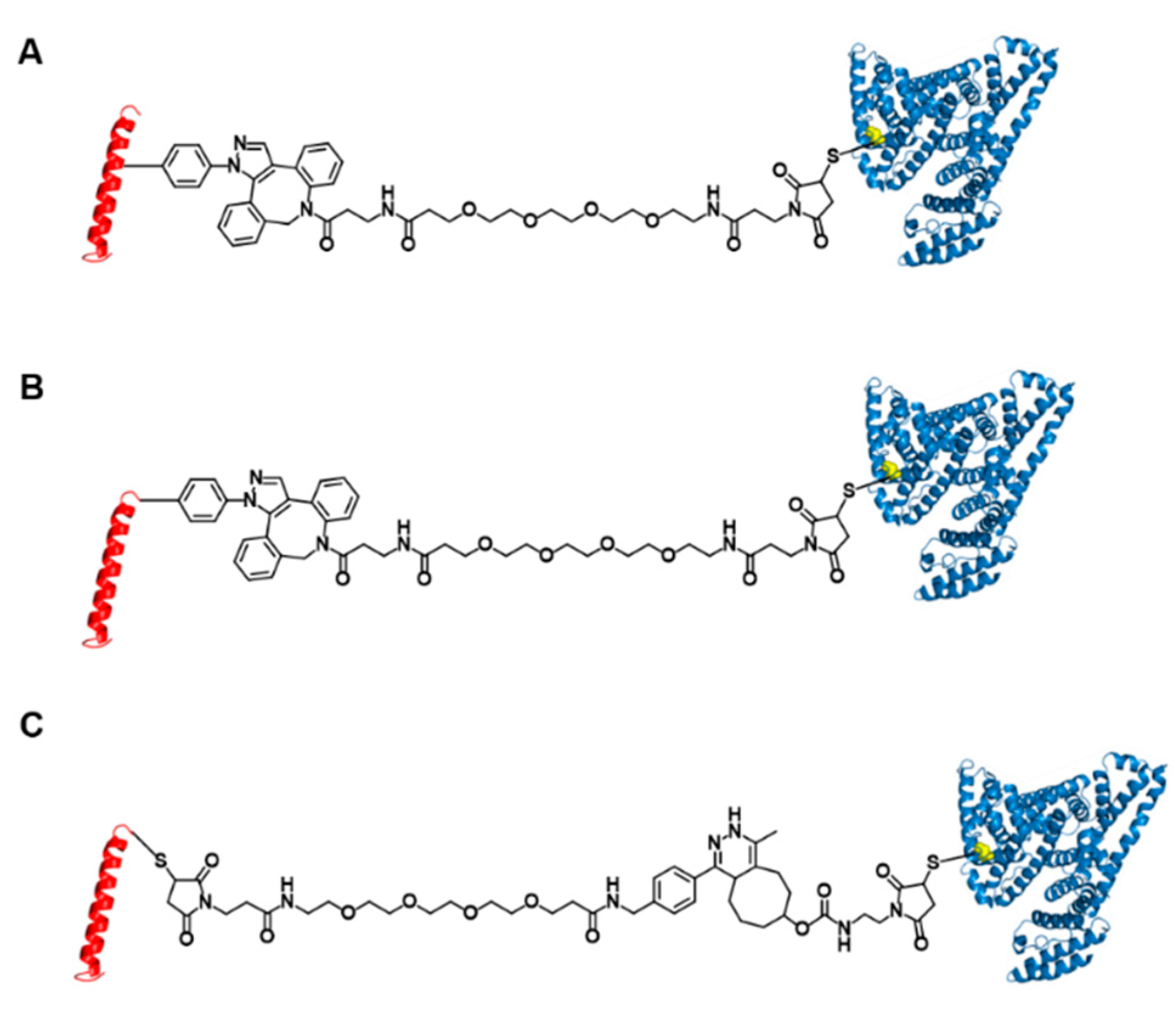 Pharmaceutics 13 00263 g001 Pharmaceutics 13 00263 g001