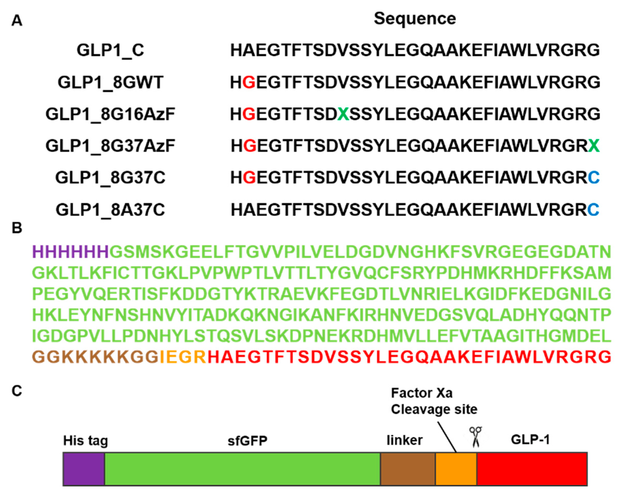 Pharmaceutics 13 00263 g002 Pharmaceutics 13 00263 g002
