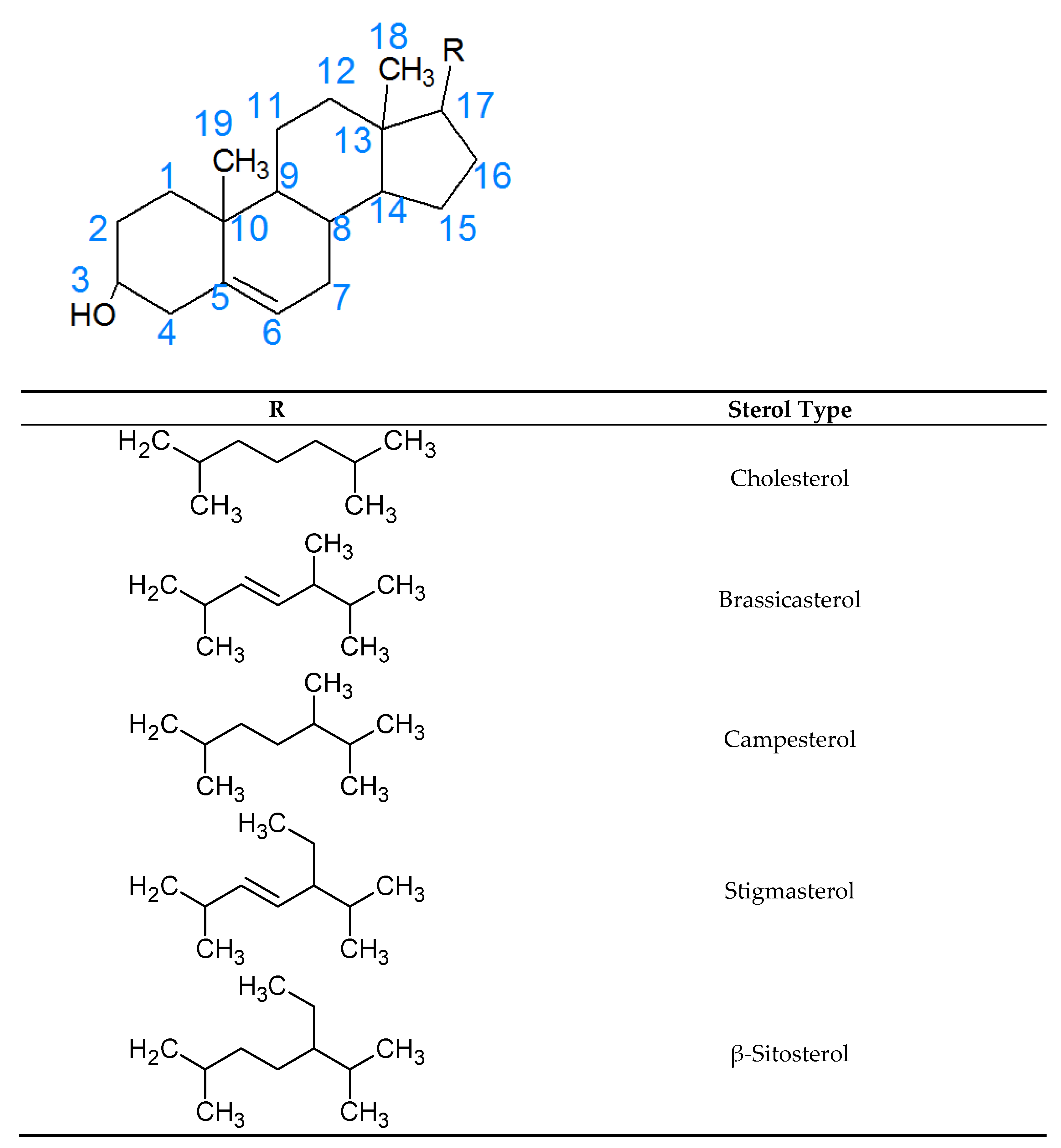 Pharmaceutics 13 00268 g001 Pharmaceutics 13 00268 g001
