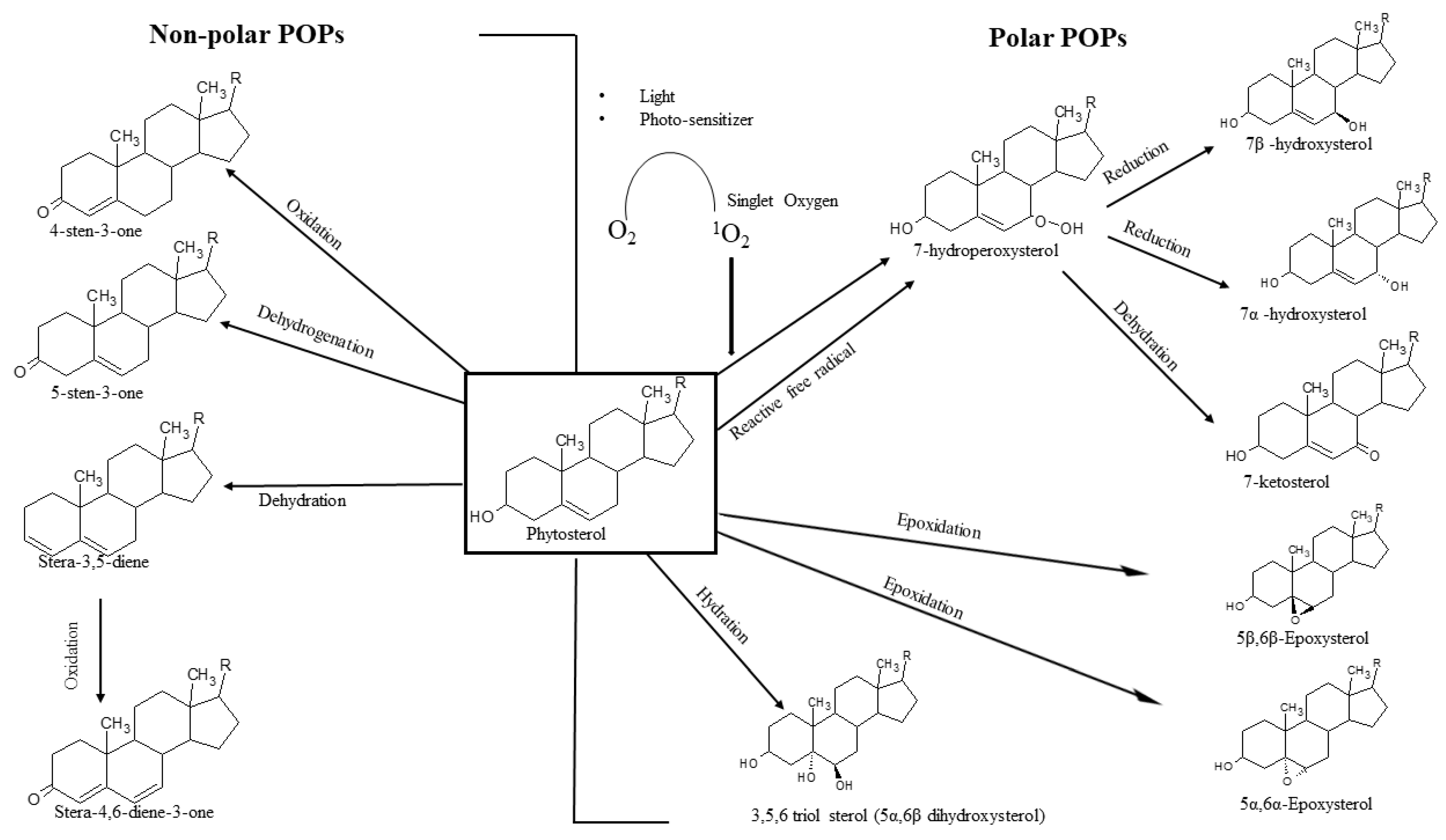 Pharmaceutics 13 00268 g002 Pharmaceutics 13 00268 g002