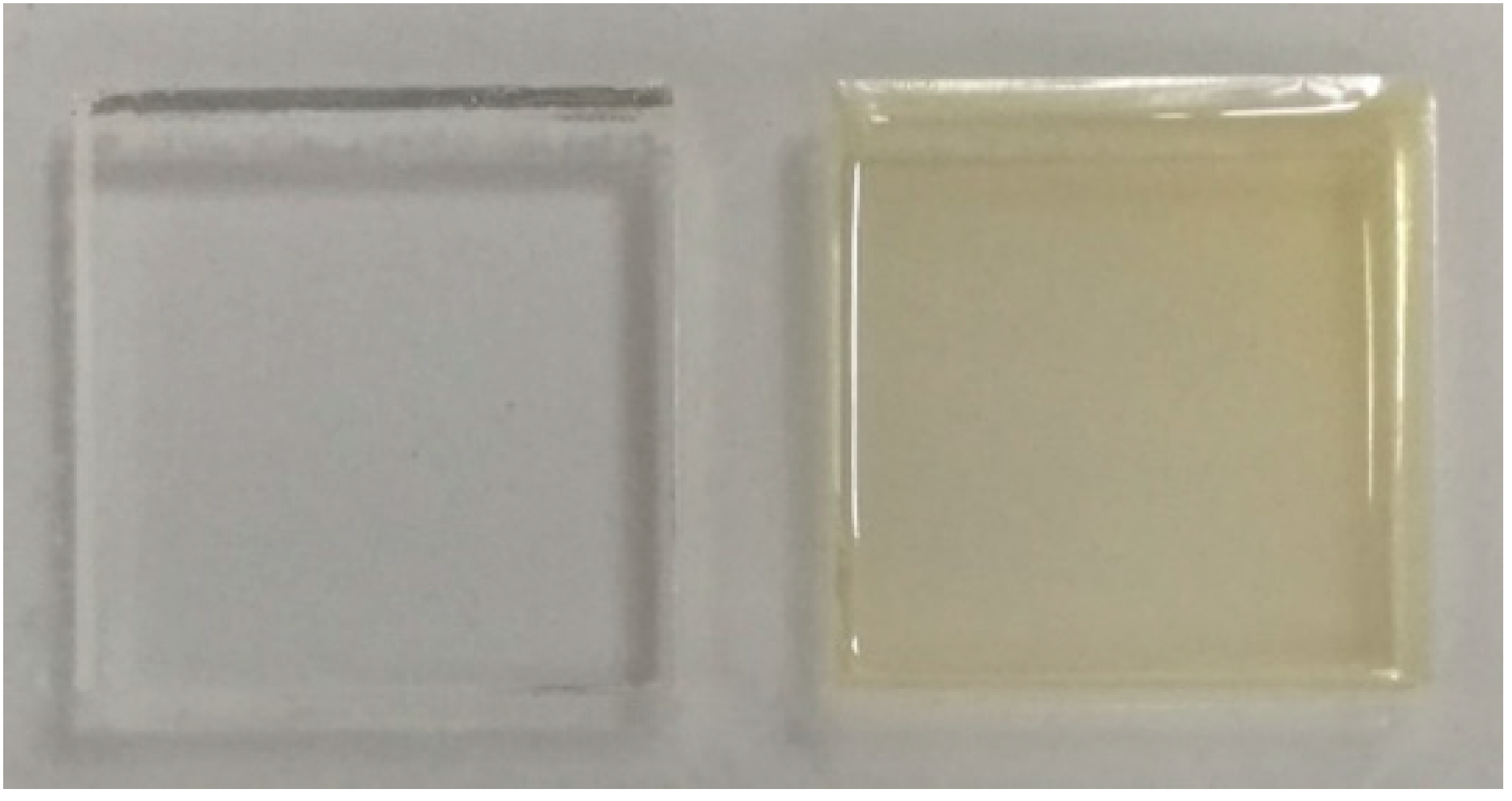 Pharmaceutics 13 00273 g002