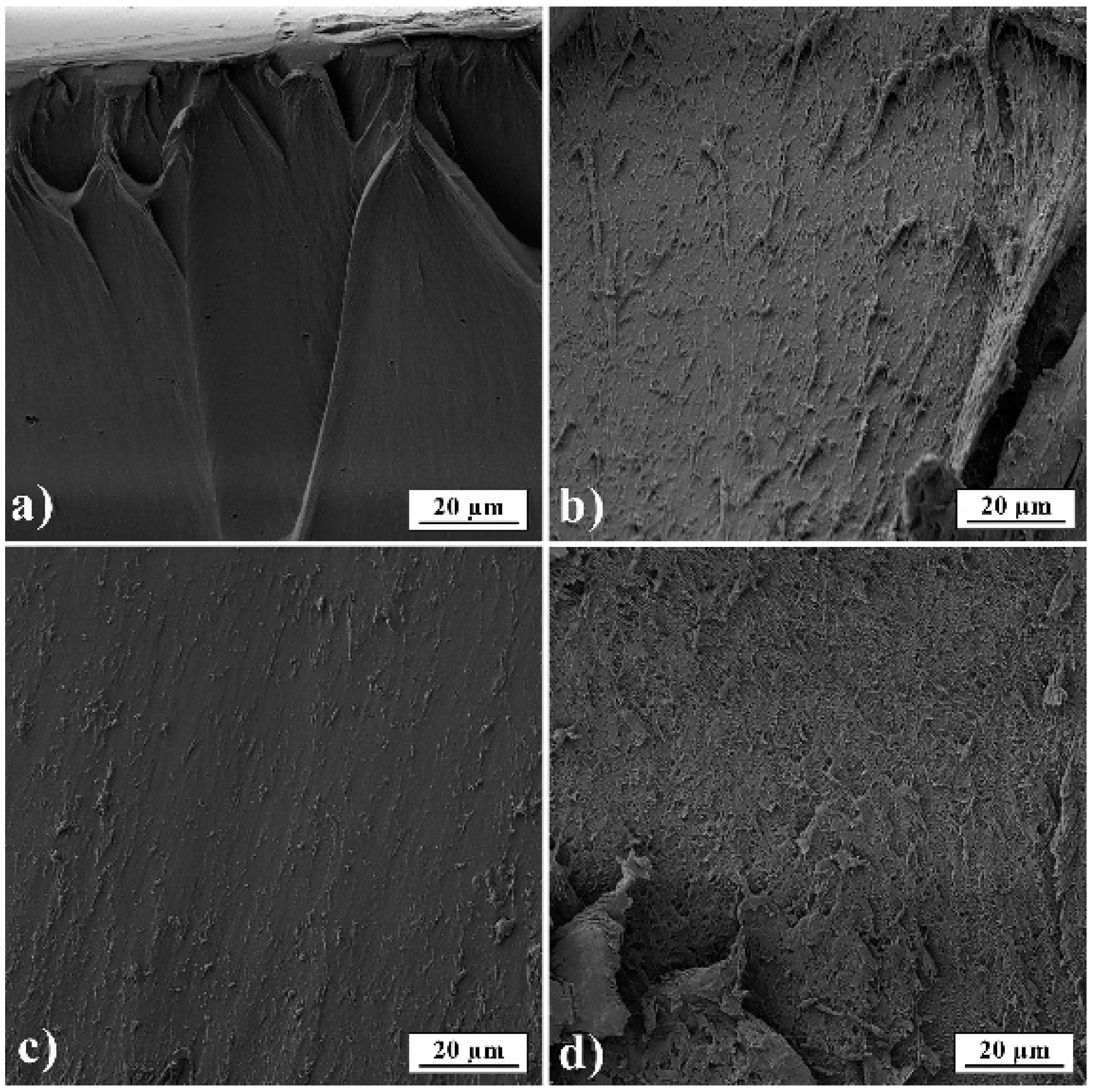 Pharmaceutics 13 00273 g006