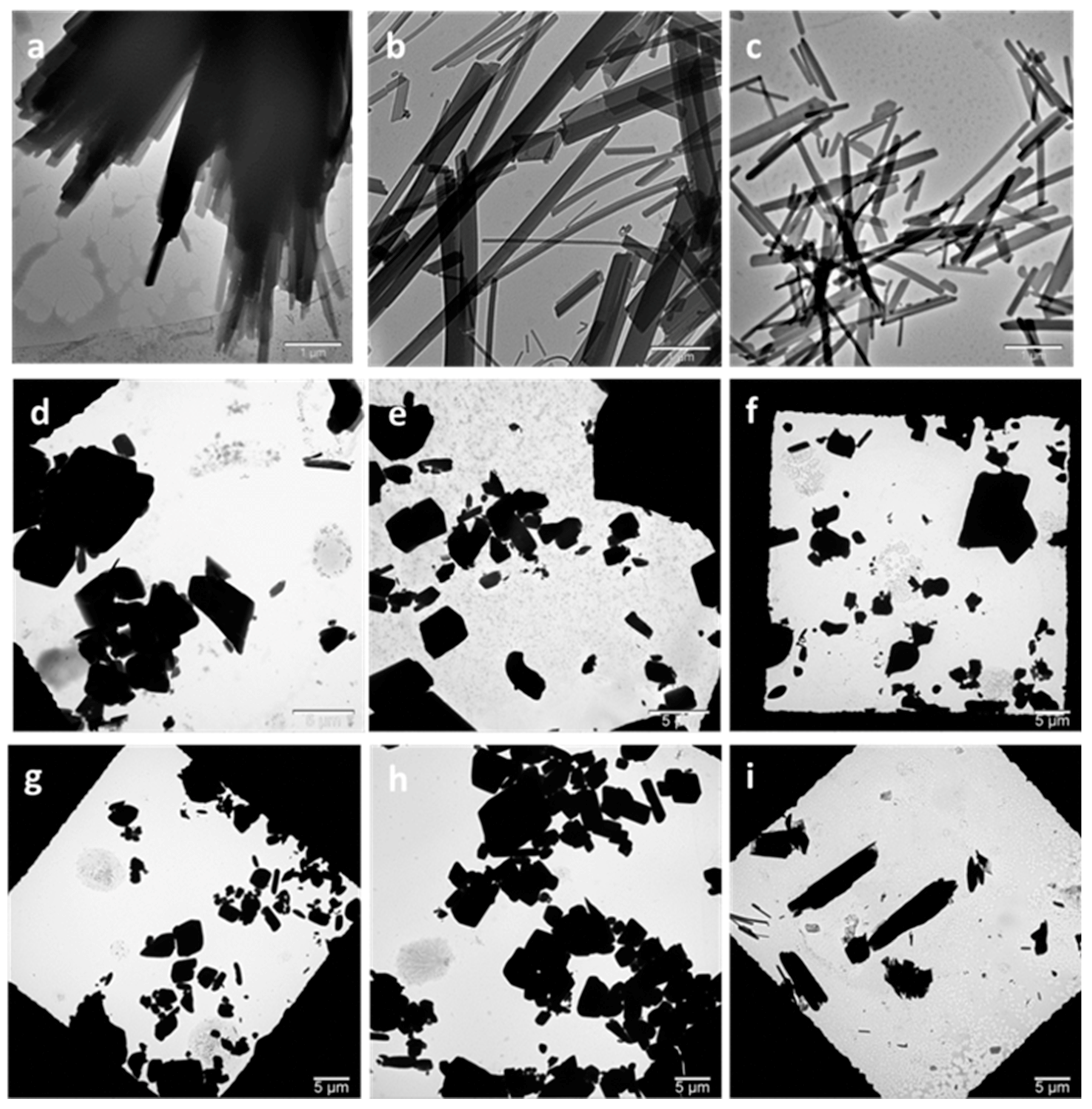 Pharmaceutics 13 00277 g002 Pharmaceutics 13 00277 g002