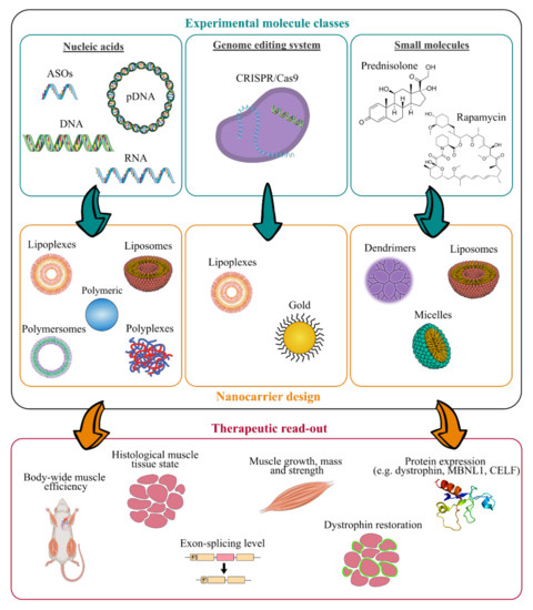 Pharmaceutics 13 00278 g003 550