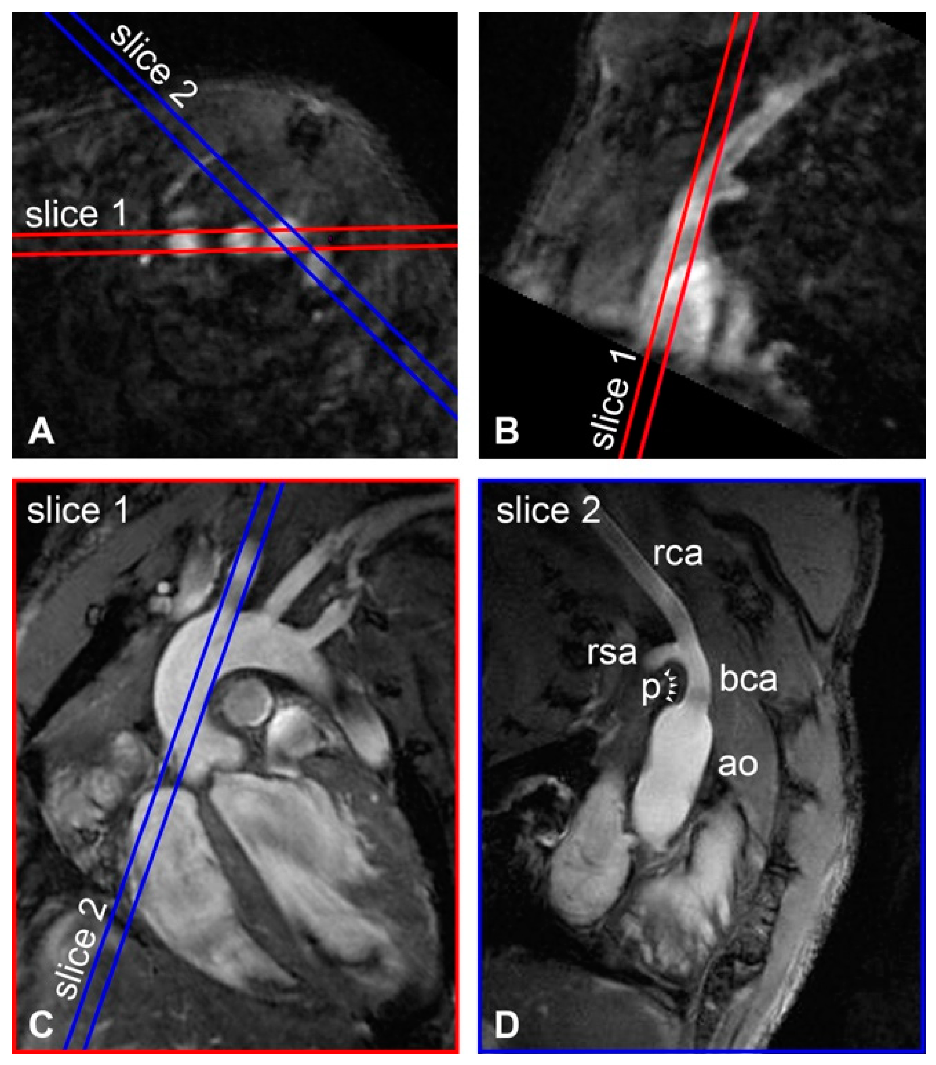 Pharmaceutics 13 00279 g001 Pharmaceutics 13 00279 g001