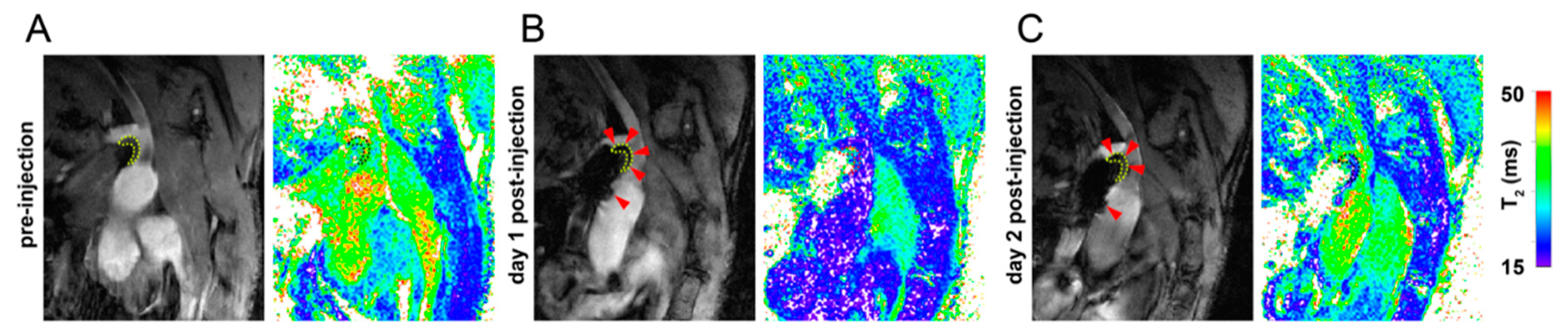Pharmaceutics 13 00279 g003 Pharmaceutics 13 00279 g003