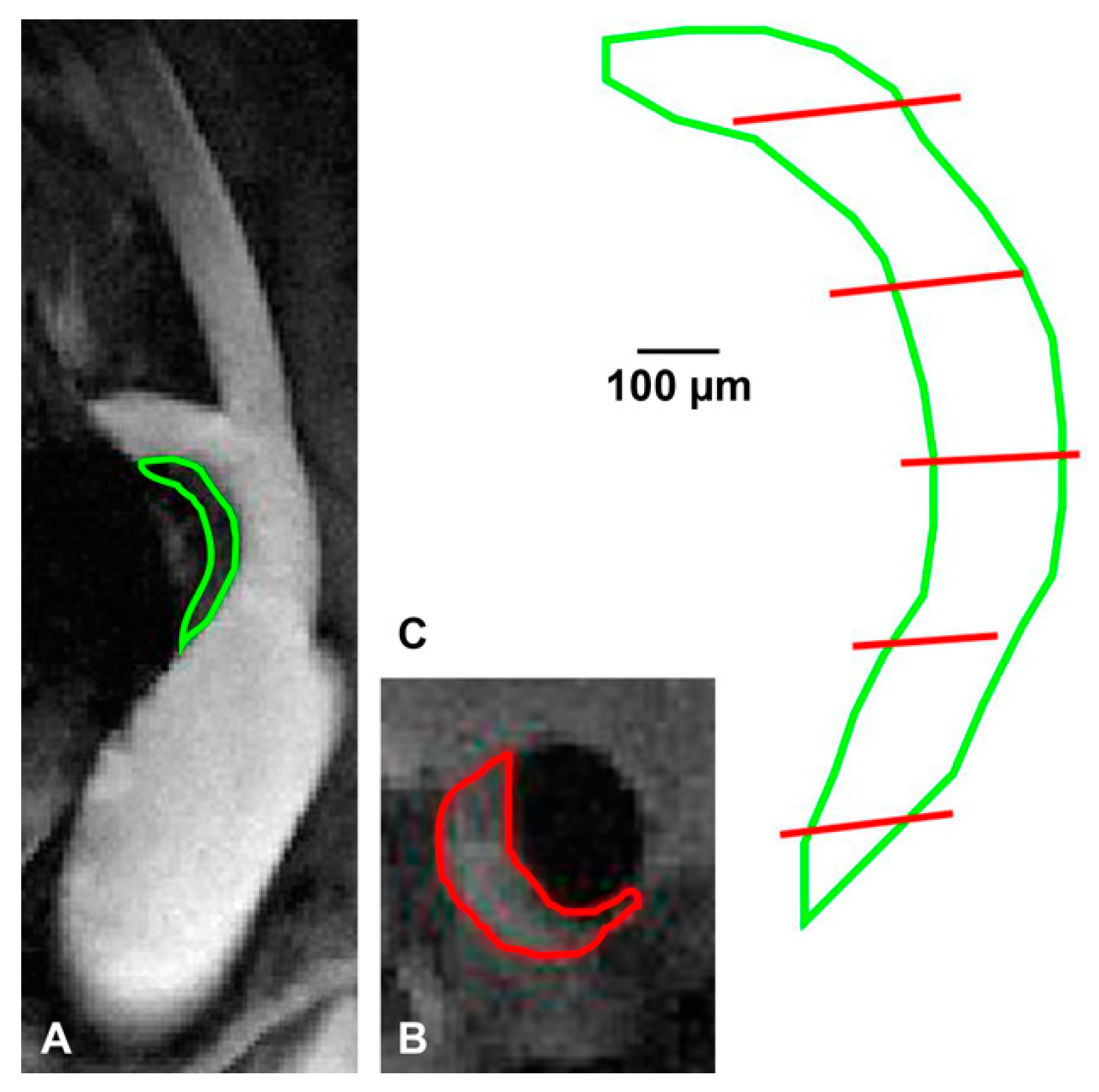 Pharmaceutics 13 00279 g004 Pharmaceutics 13 00279 g004