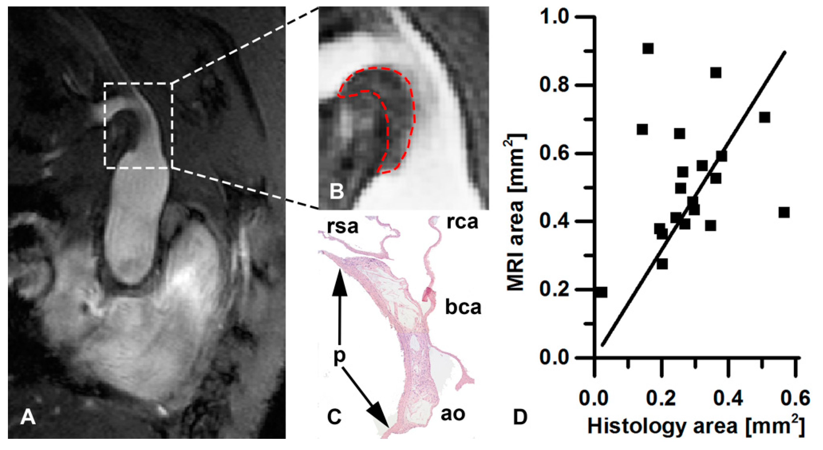 Pharmaceutics 13 00279 g005 Pharmaceutics 13 00279 g005
