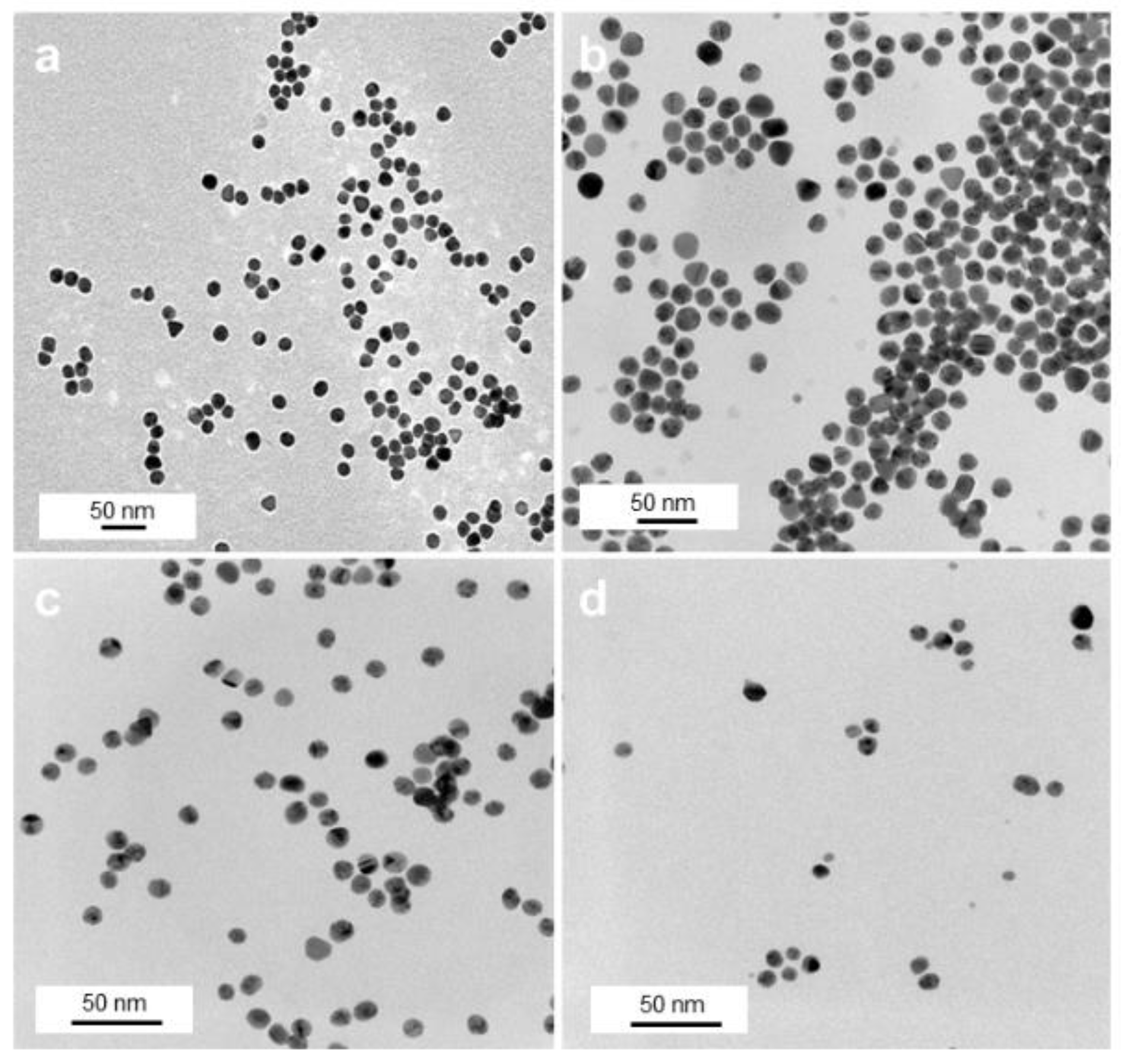 Pharmaceutics 13 00295 g002 Pharmaceutics 13 00295 g002