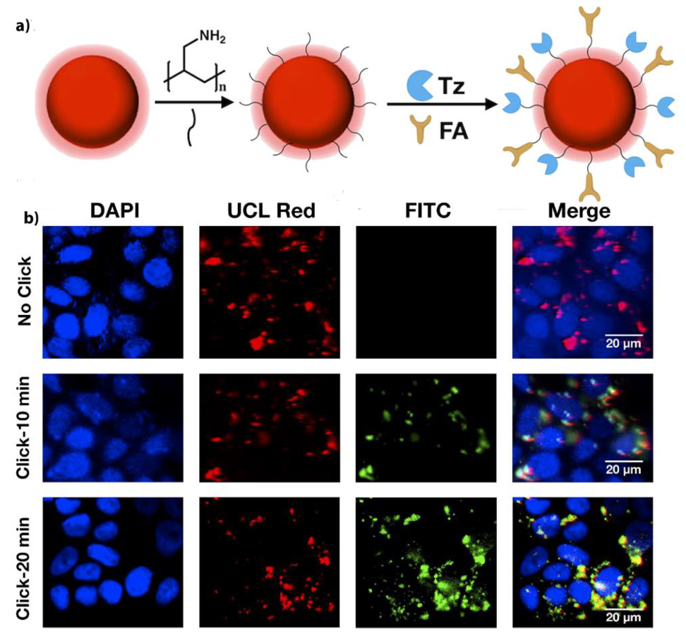 Pharmaceutics 13 00296 g012