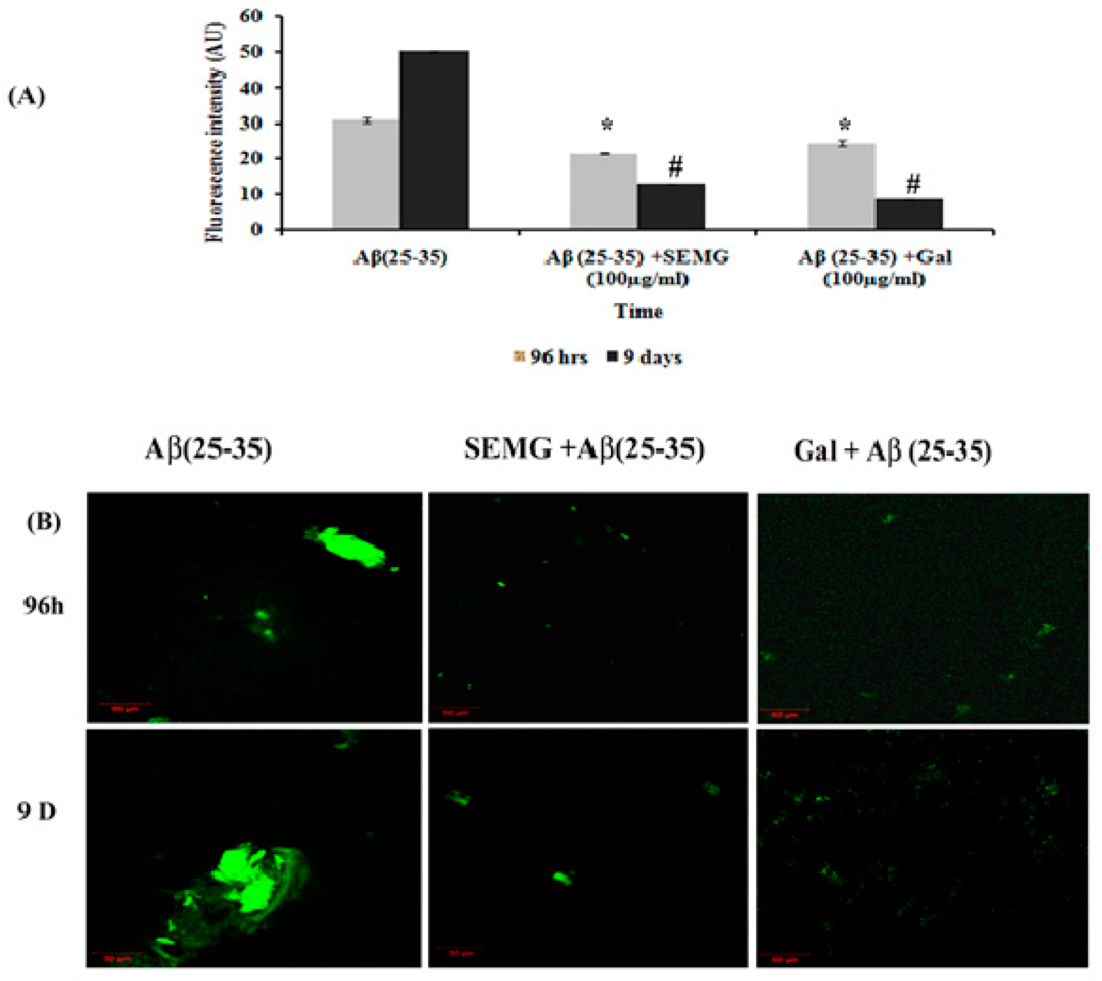 Pharmaceutics 13 00299 g005 Pharmaceutics 13 00299 g005
