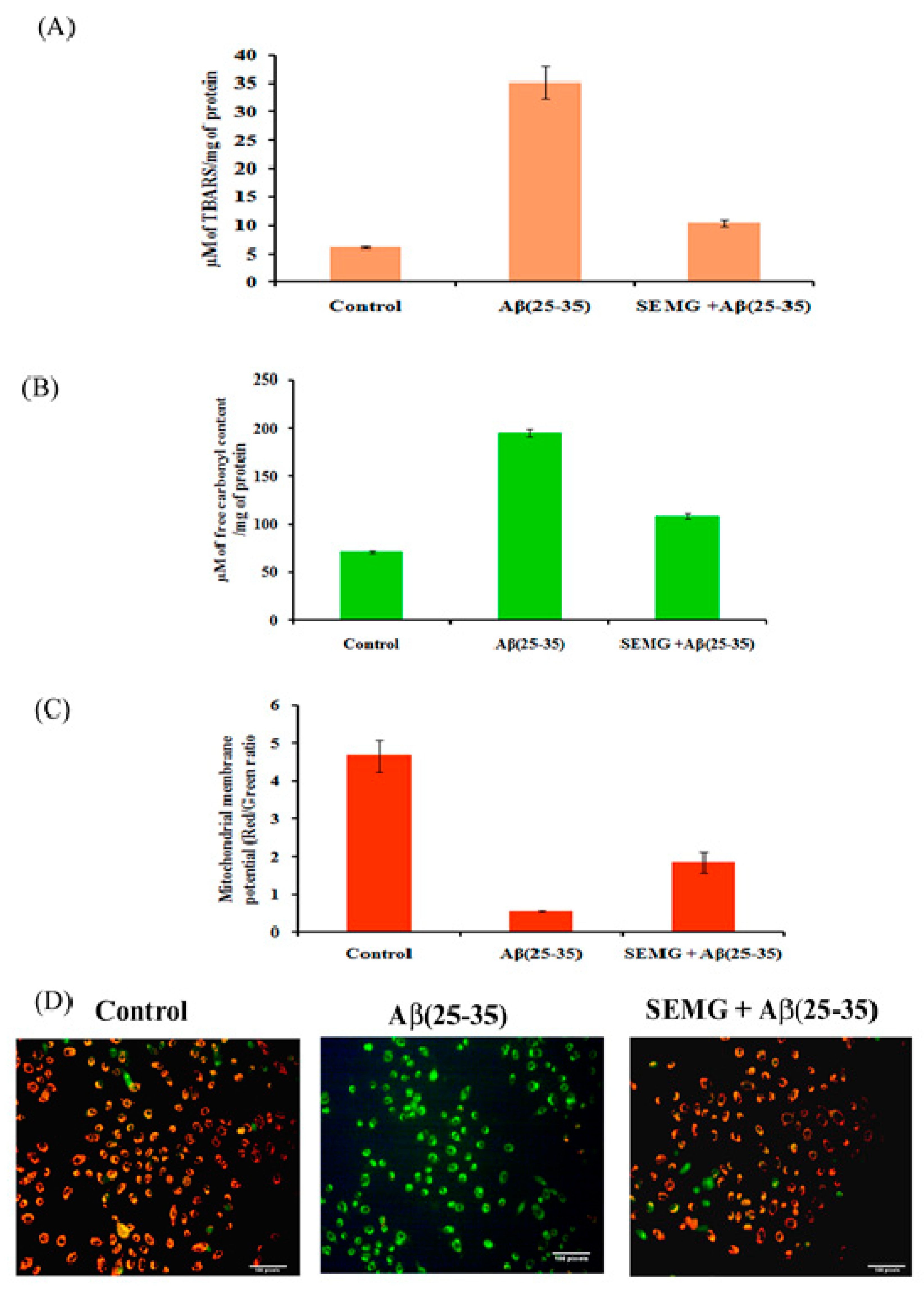 Pharmaceutics 13 00299 g008 Pharmaceutics 13 00299 g008