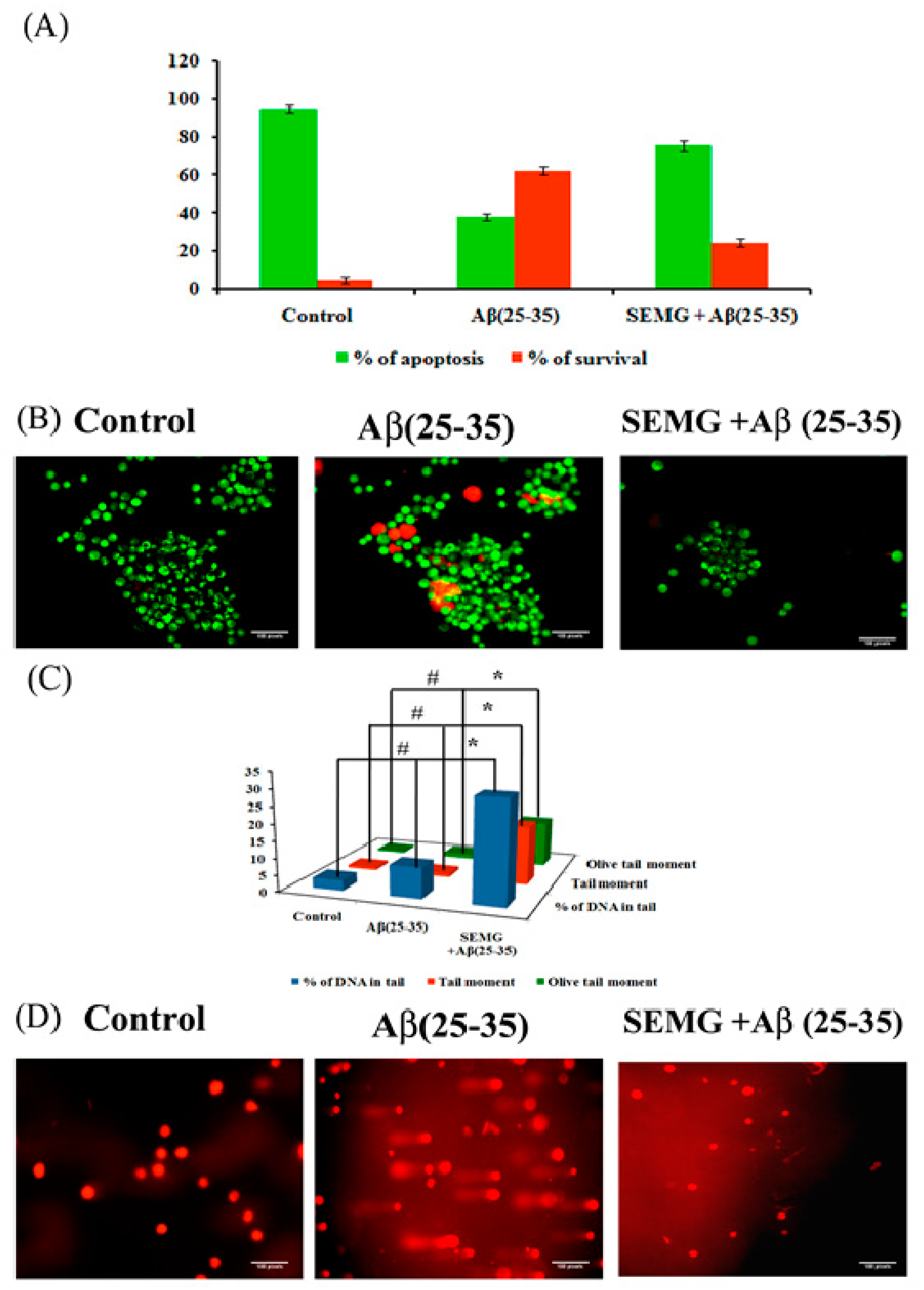 Pharmaceutics 13 00299 g009 Pharmaceutics 13 00299 g009