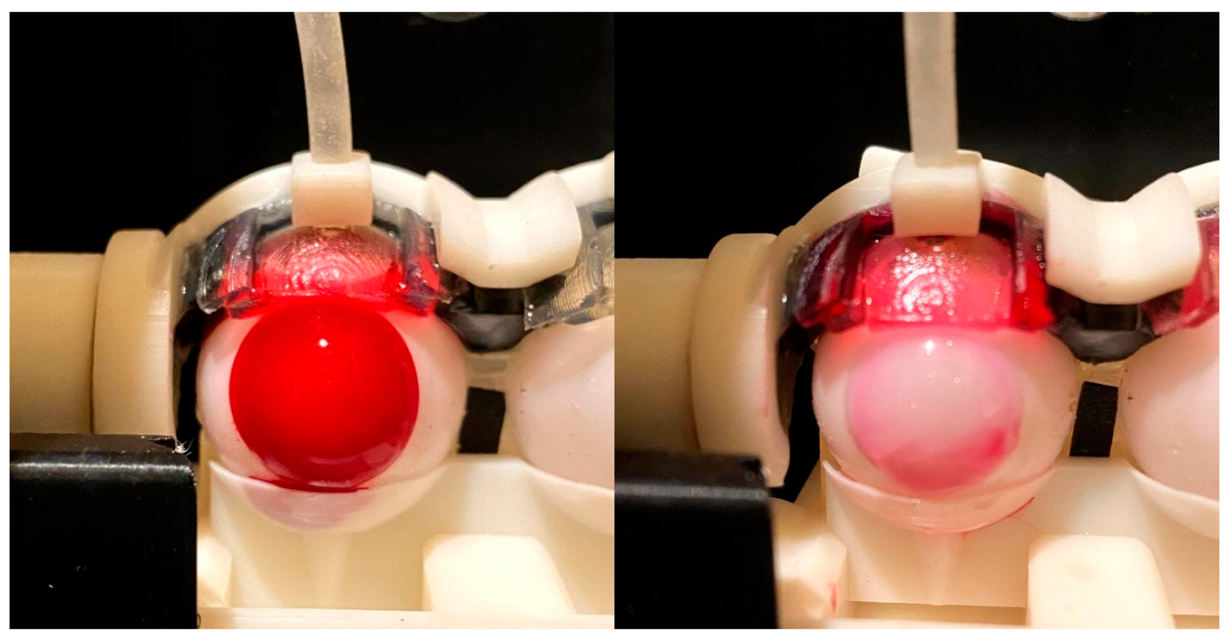 Pharmaceutics 13 00300 g006 Pharmaceutics 13 00300 g006