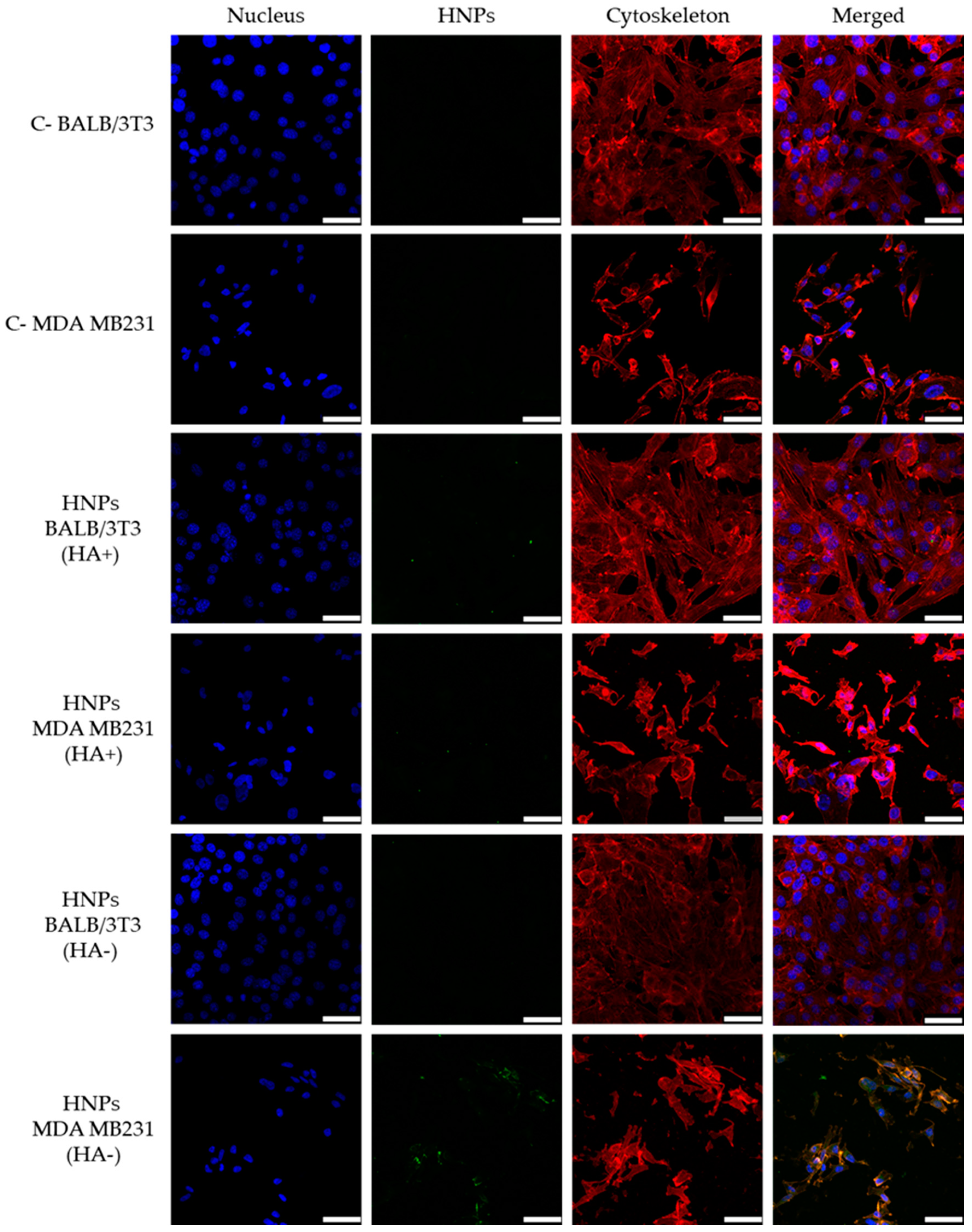 Pharmaceutics 13 00304 g008 Pharmaceutics 13 00304 g008