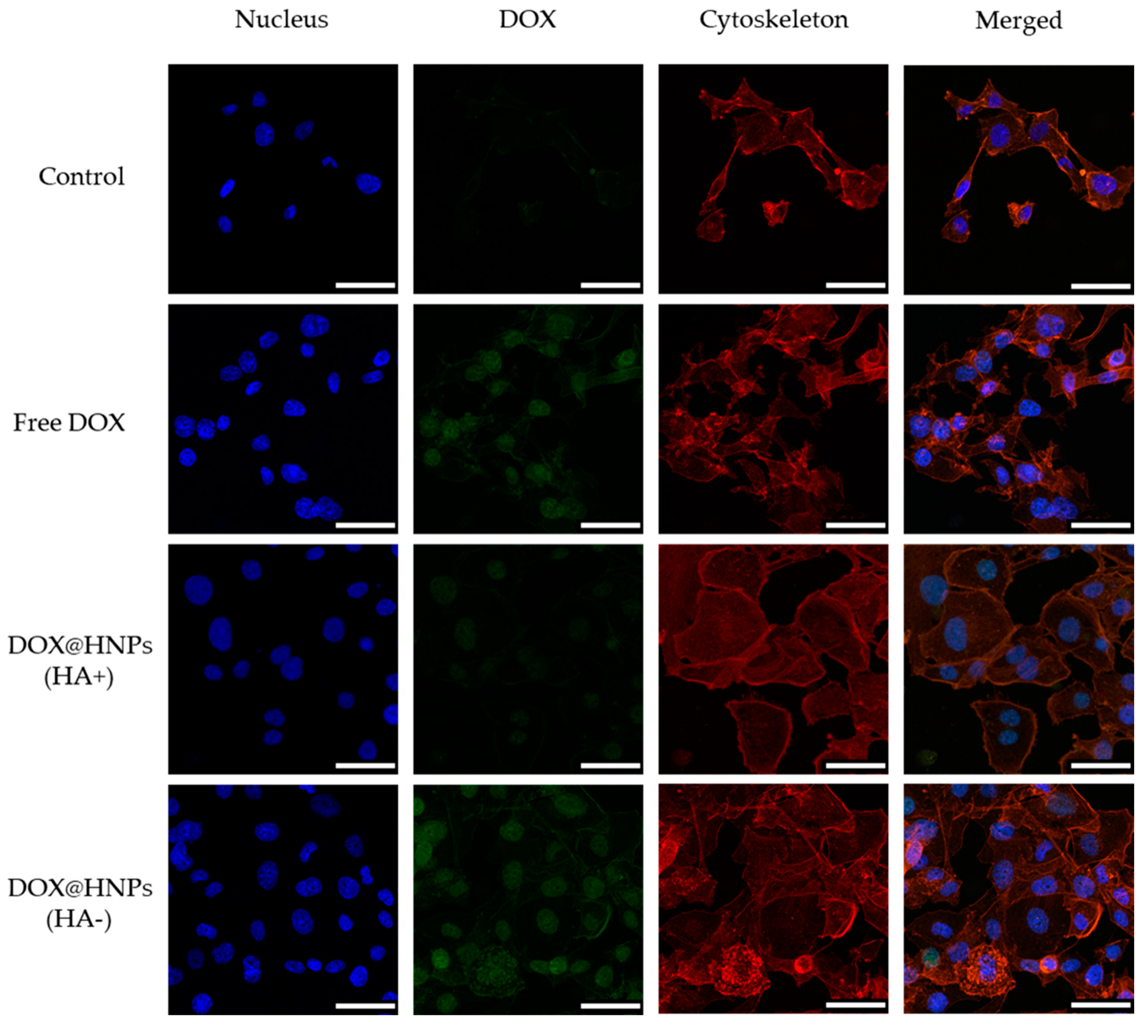 Pharmaceutics 13 00304 g009 Pharmaceutics 13 00304 g009