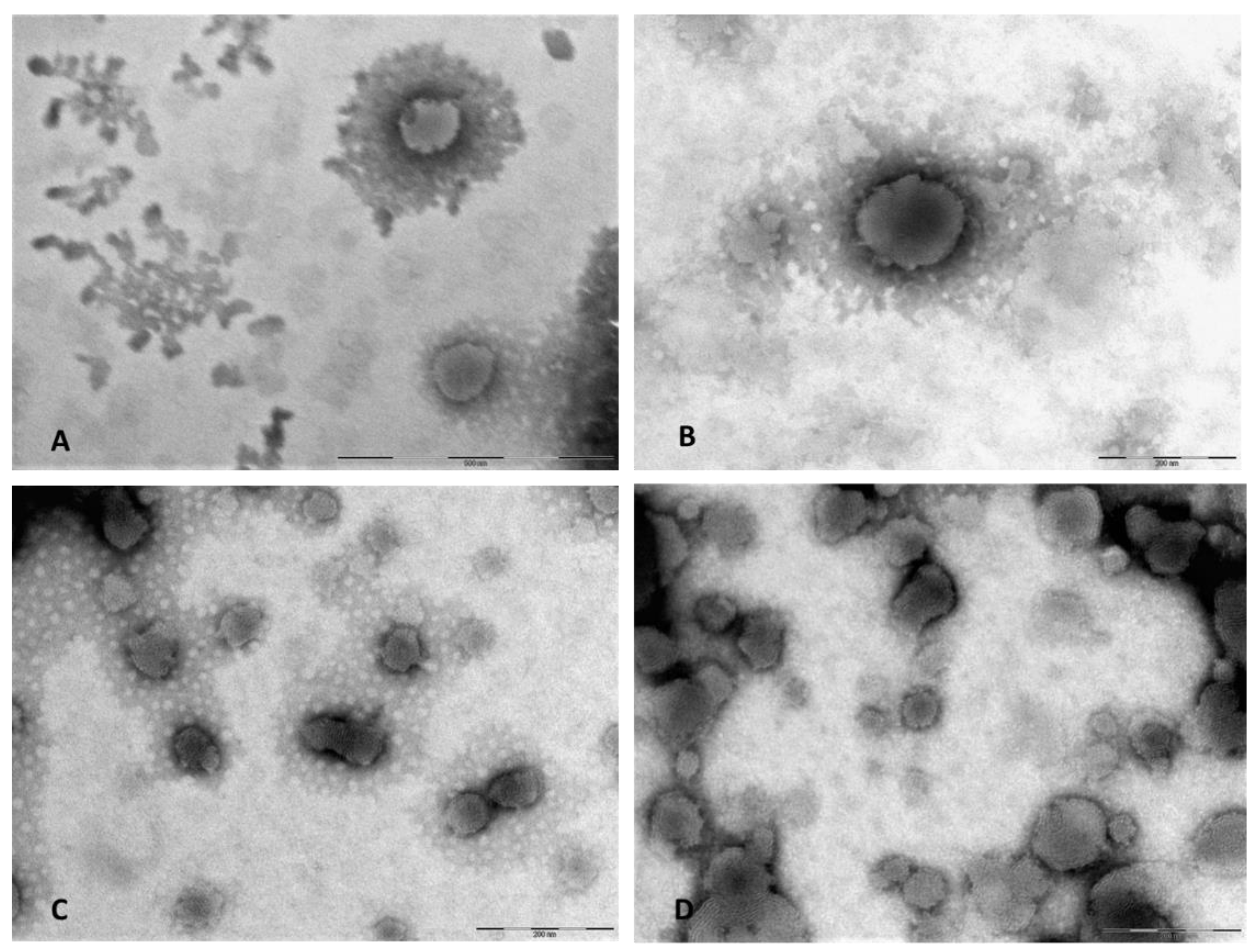 Pharmaceutics 13 00306 g002