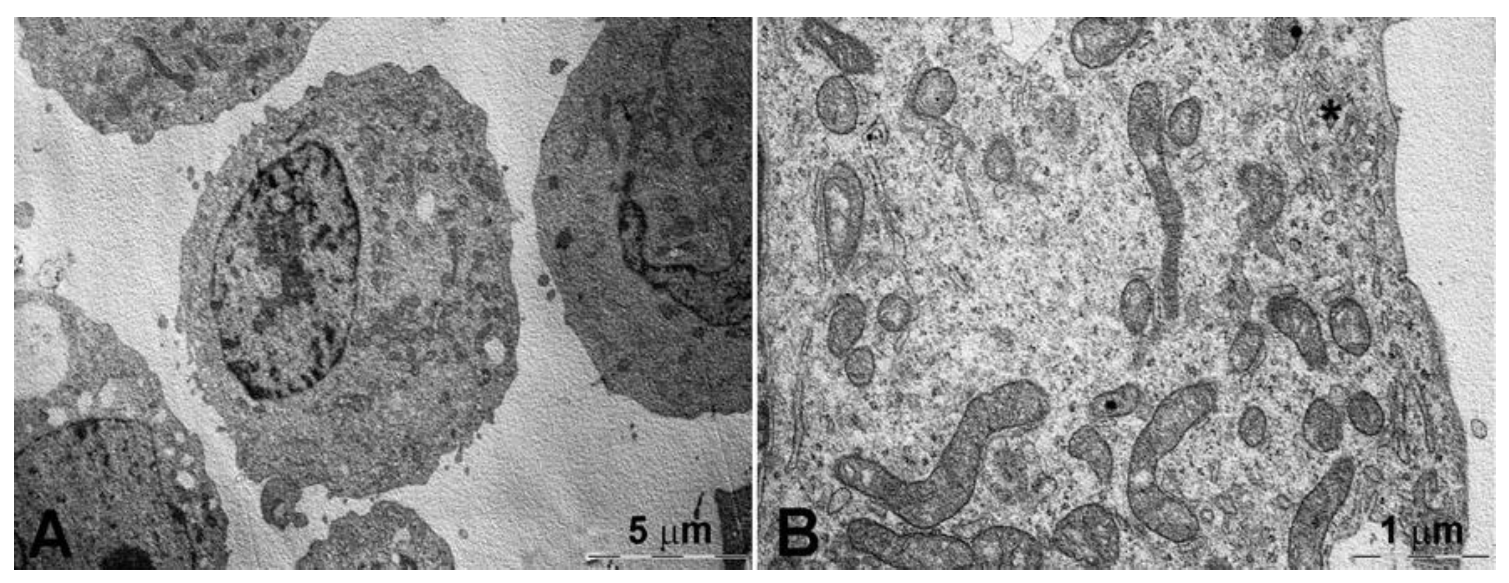 Pharmaceutics 13 00306 g007