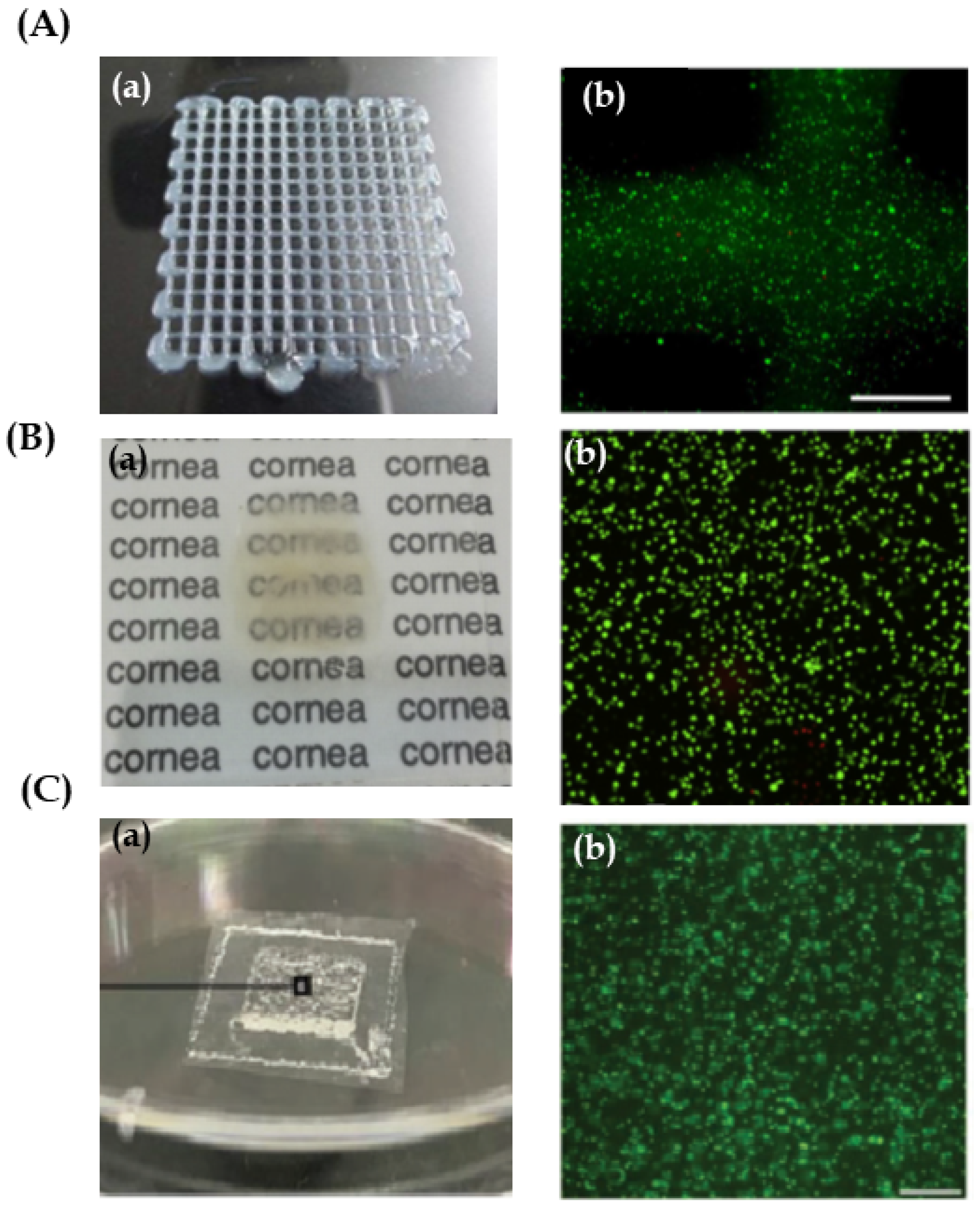 Pharmaceutics 13 00308 g005 Pharmaceutics 13 00308 g005