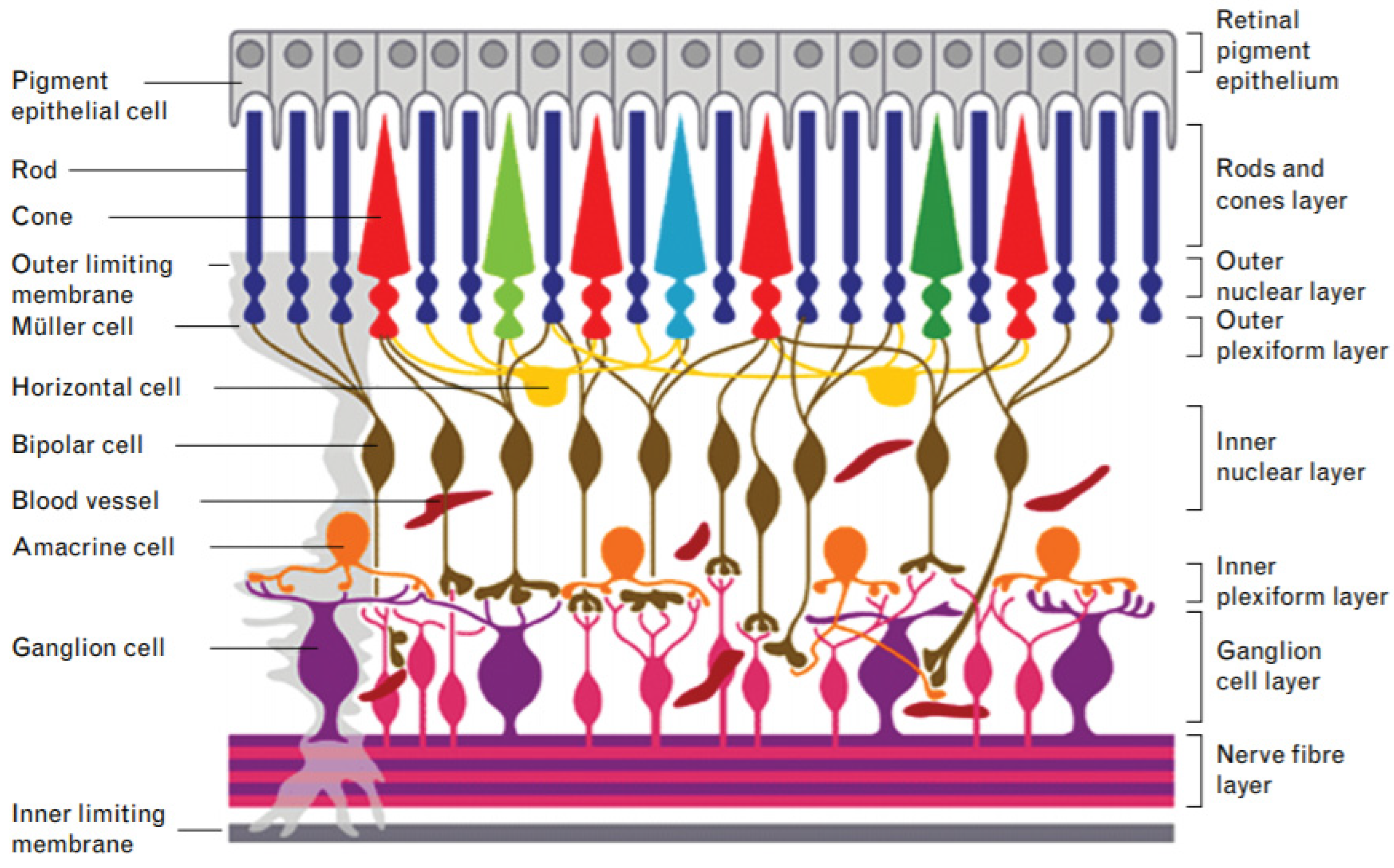 Pharmaceutics 13 00308 g006 Pharmaceutics 13 00308 g006