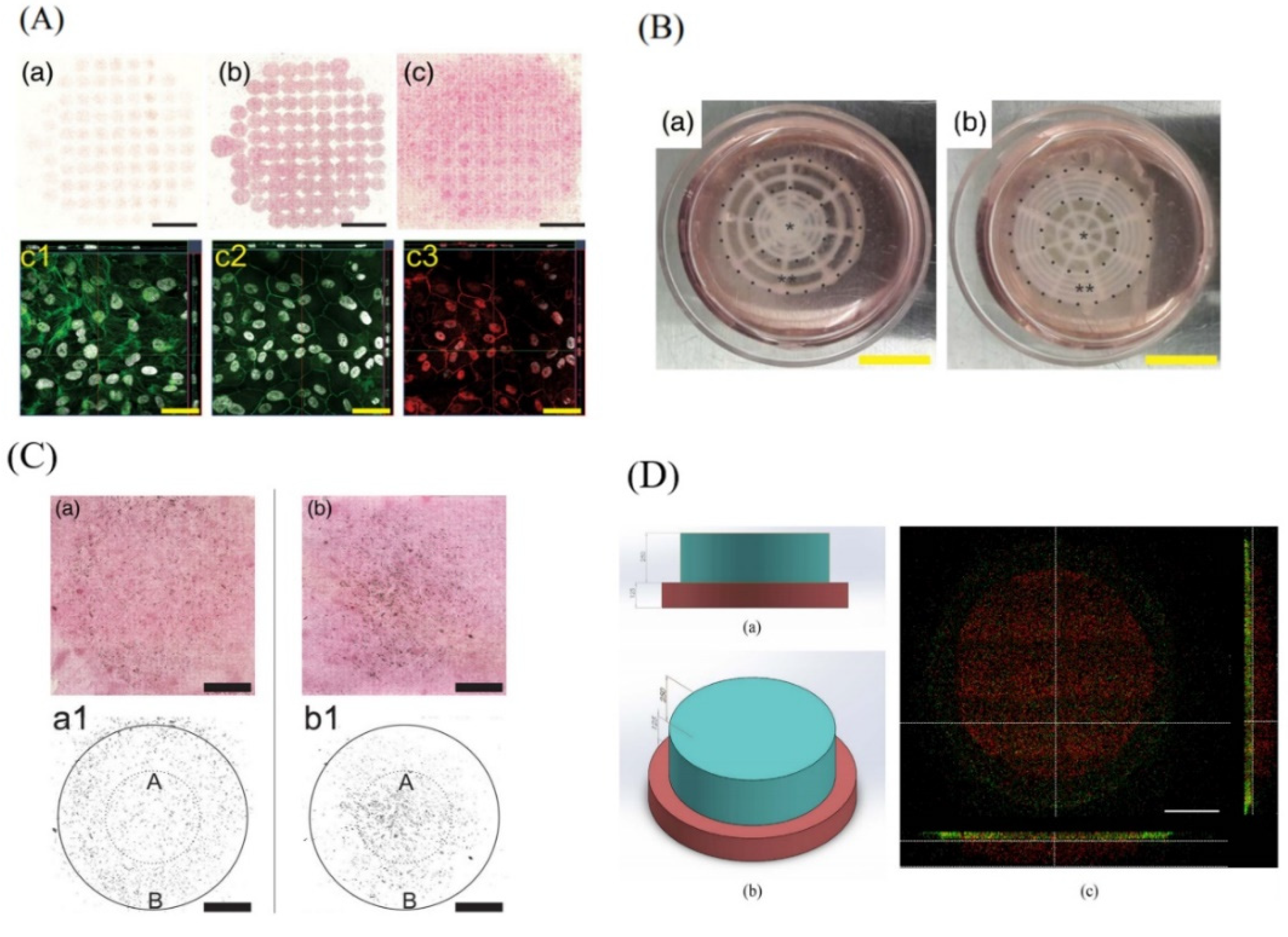 Pharmaceutics 13 00308 g008 Pharmaceutics 13 00308 g008